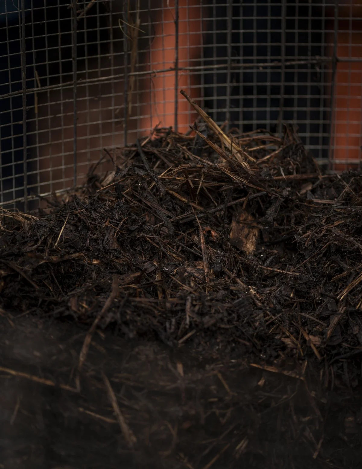 Compost as a Bioinoculant?