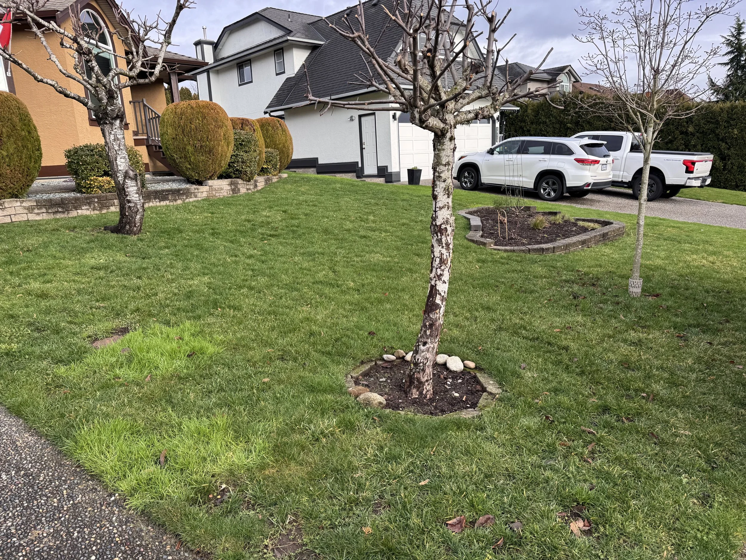 But our lawn is completely fine.