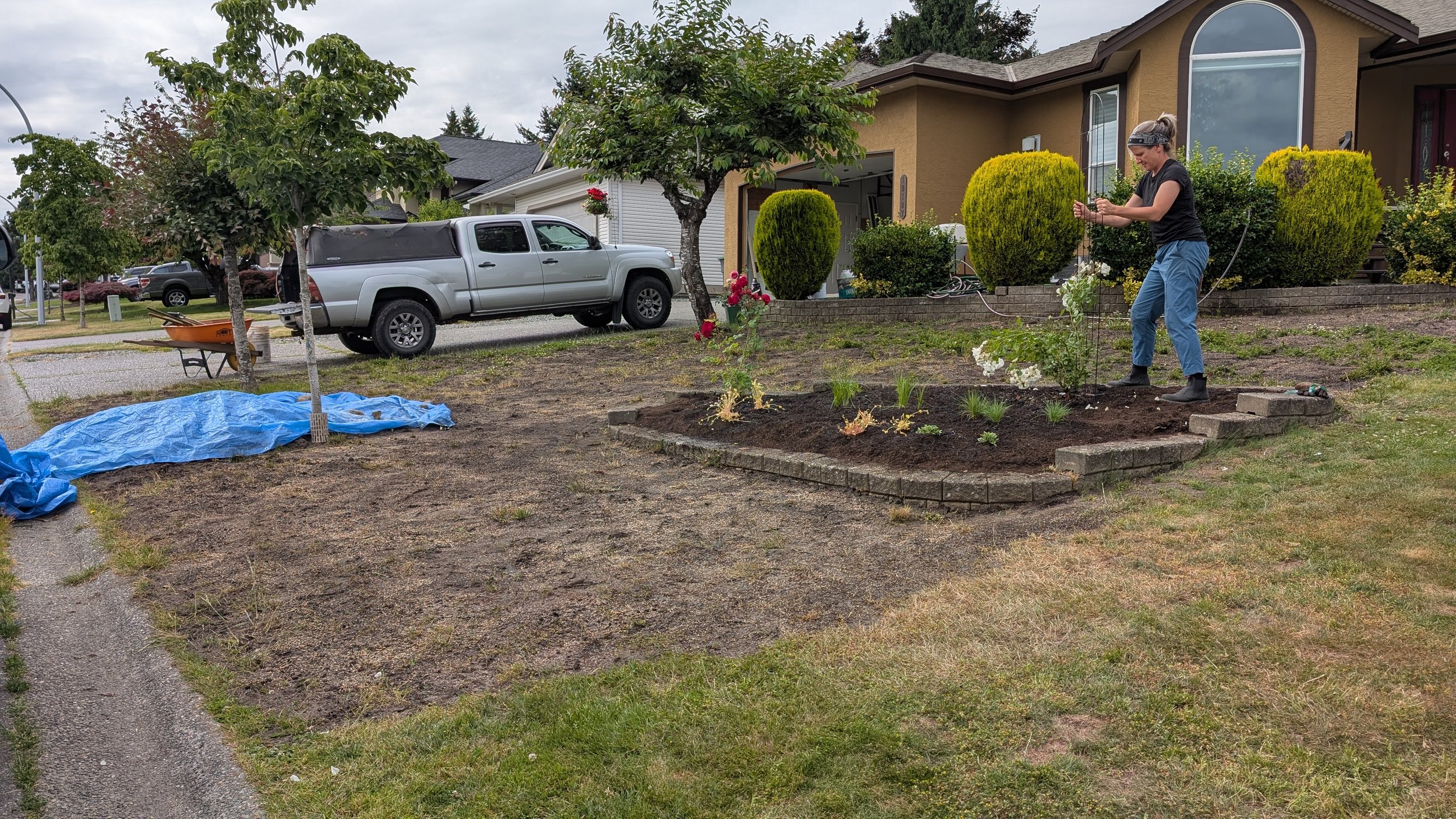 The "ugly-phase". Top-dressed compost. Grass seeds have been broadcast.