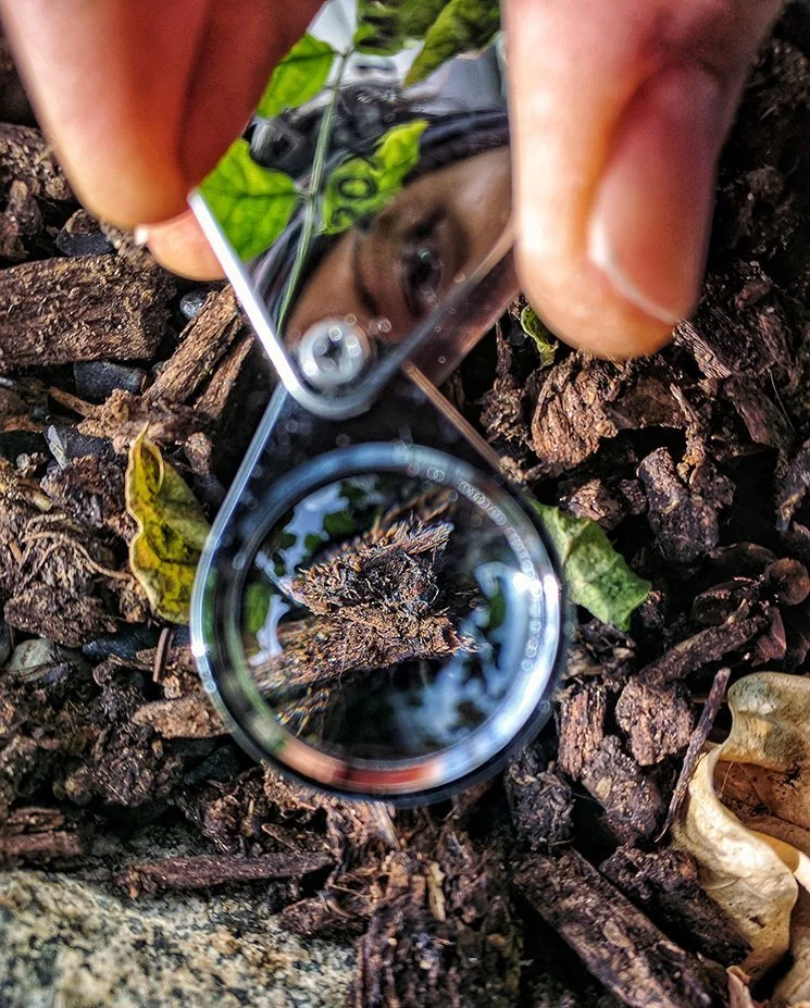 Making compost extracts - Part 1