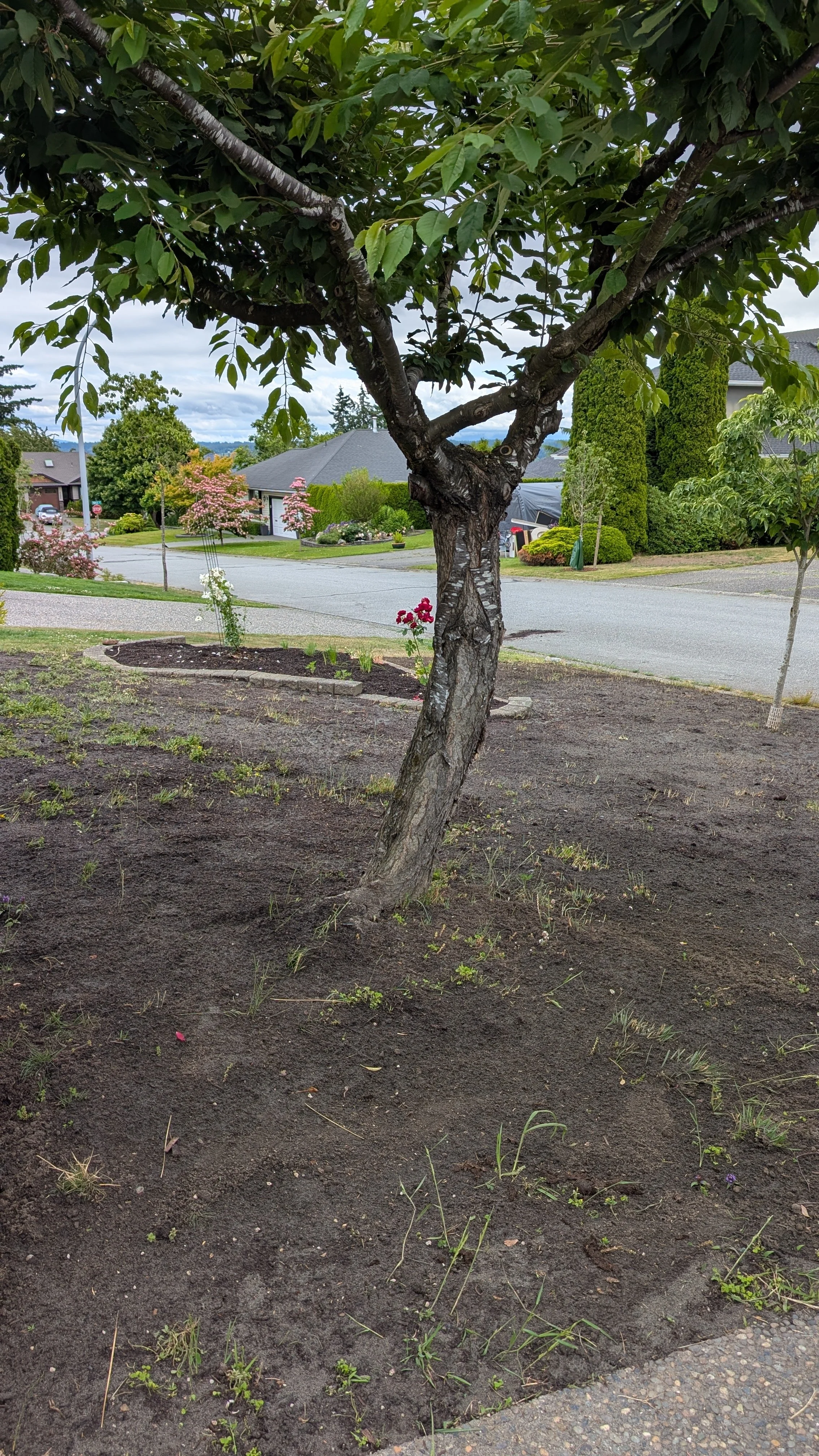 Another angle of the "ugly" phase.