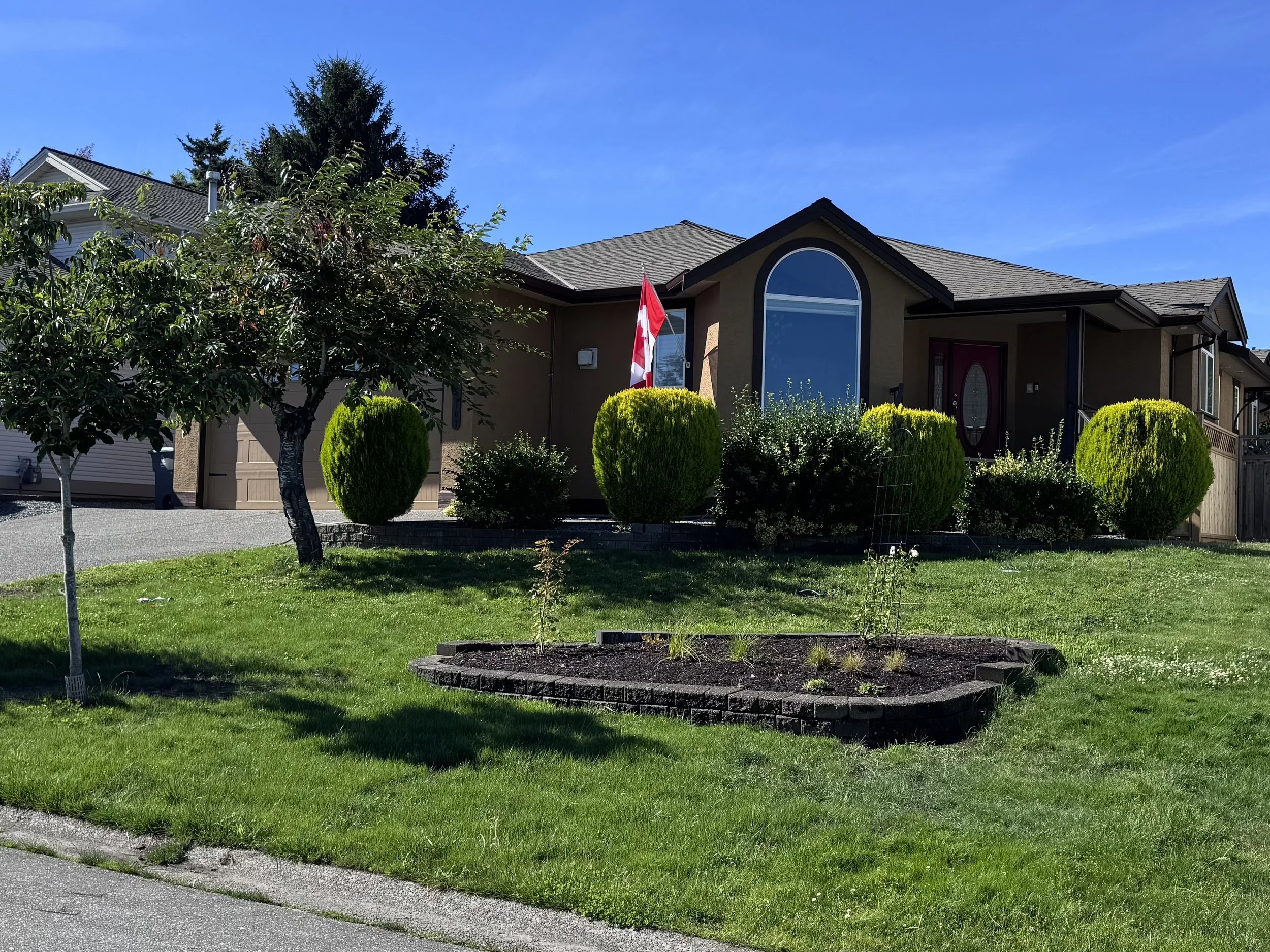 Lawn after remediation.