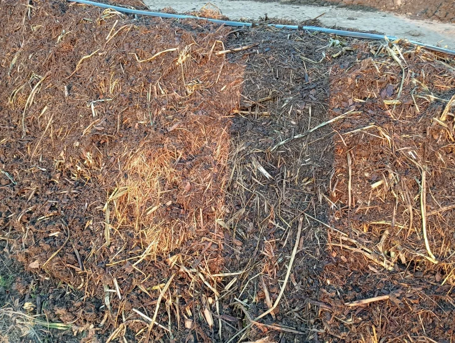 Compost windrow closeup. Image provided by the farm team.