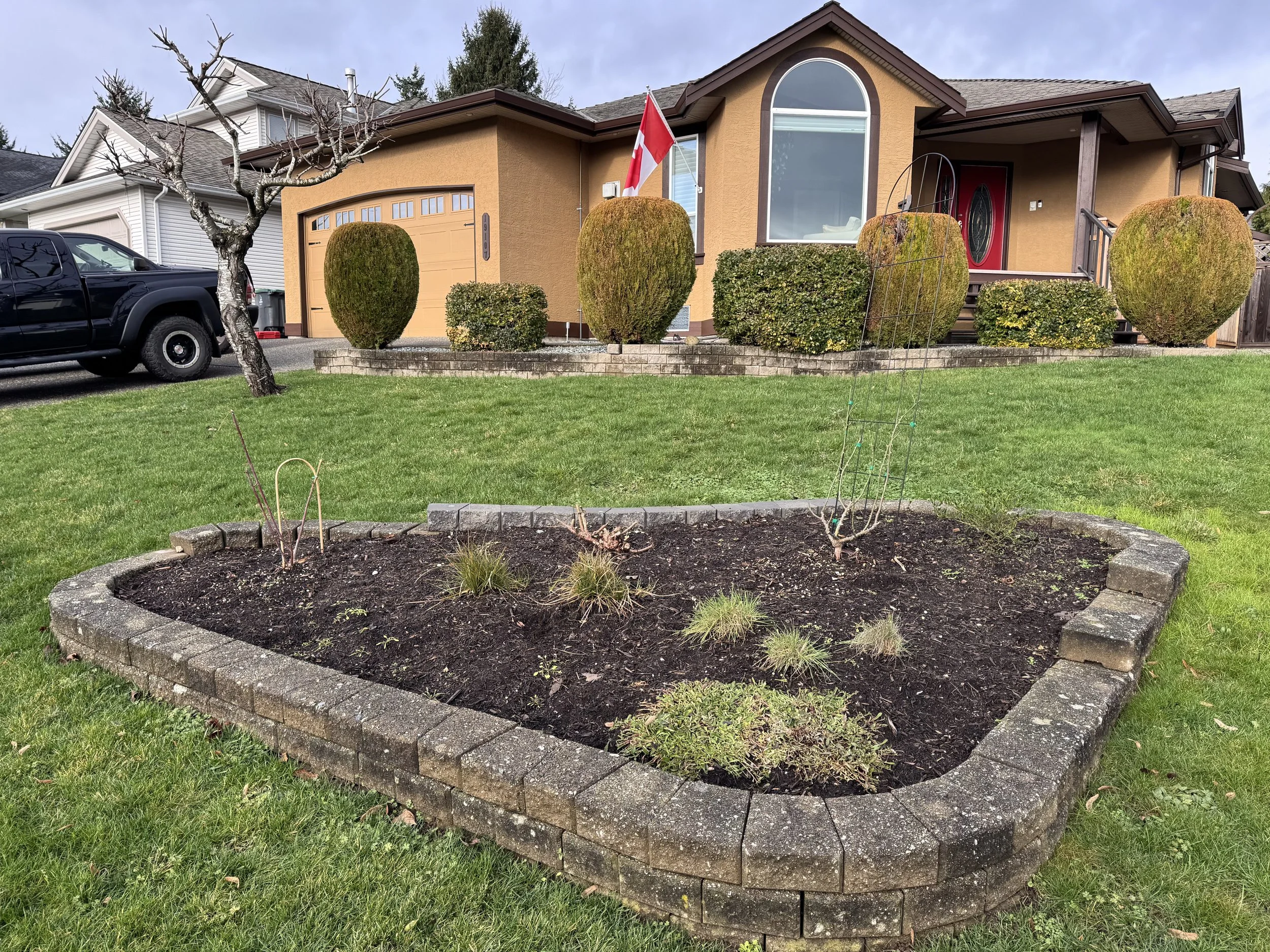 The latest fall (2025) photo. The lawn has maintained its vigour.