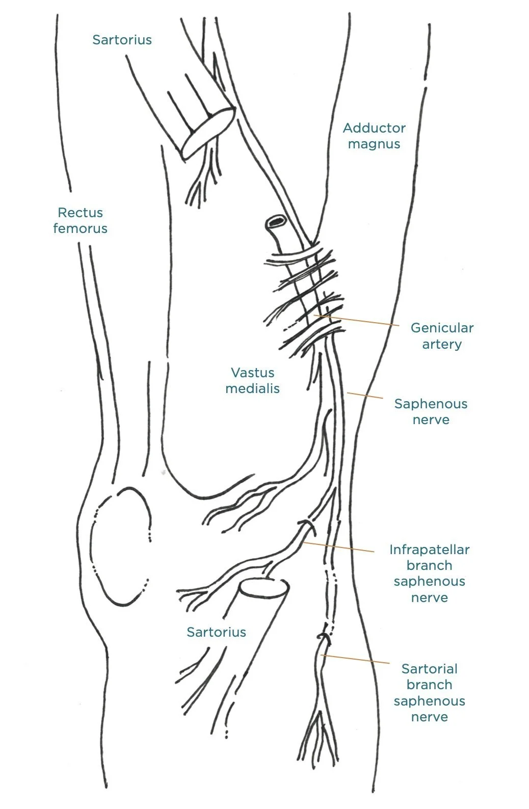 Joint Pain #2 — Back, Neck & Joint
