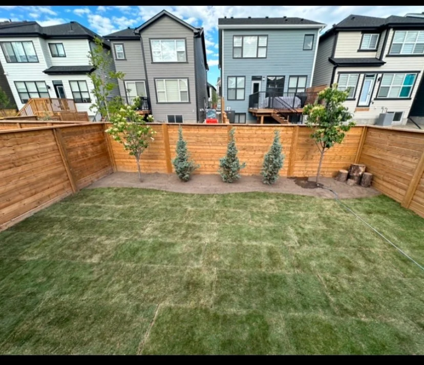 Backyard sod job - Lauren H.jpg