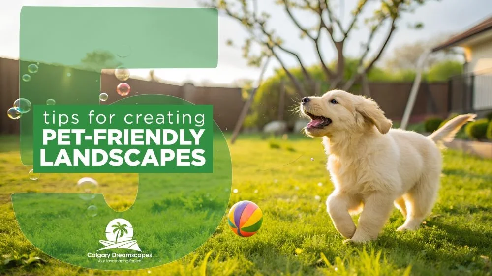 5 Tips for Creating Safe, Enjoyable Yard Spaces for Pets in Calgary