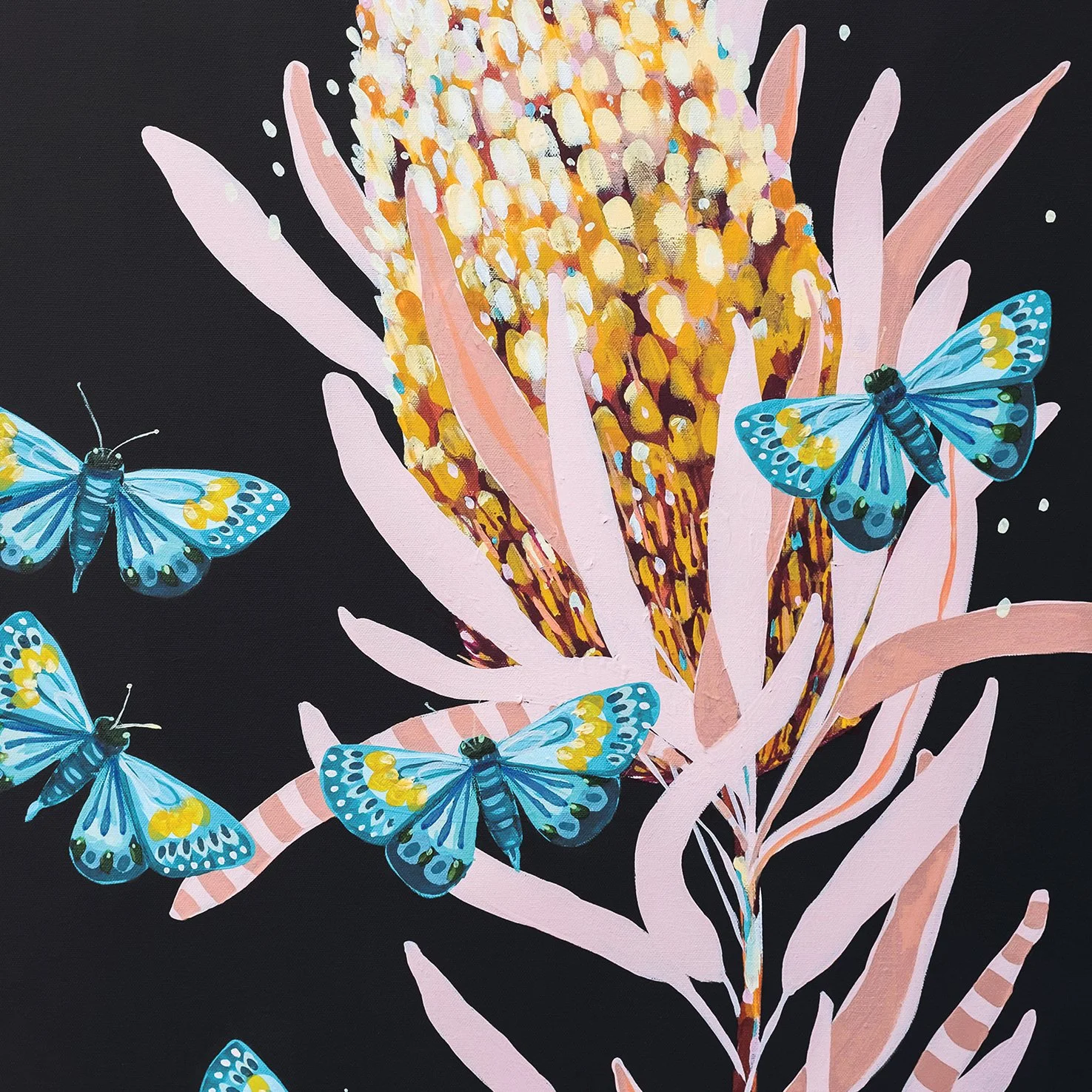 Butterfly Playground 2 CROP.jpg