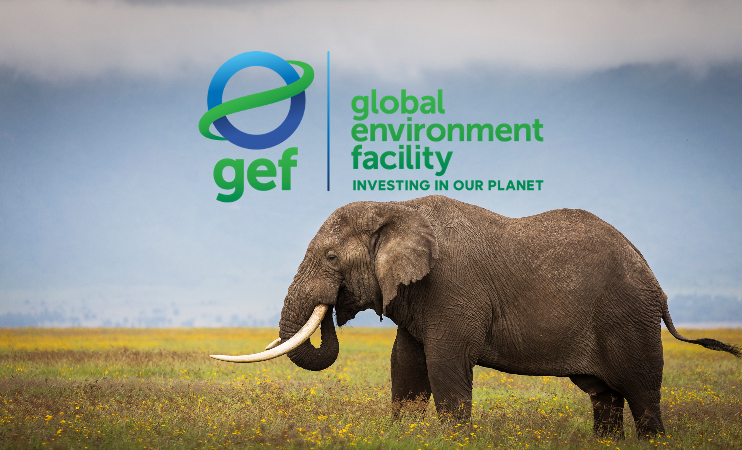 Keystone Partnership Welcomes New GEF–RWF Collaboration to Support Africa’s Keystone Protected Areas