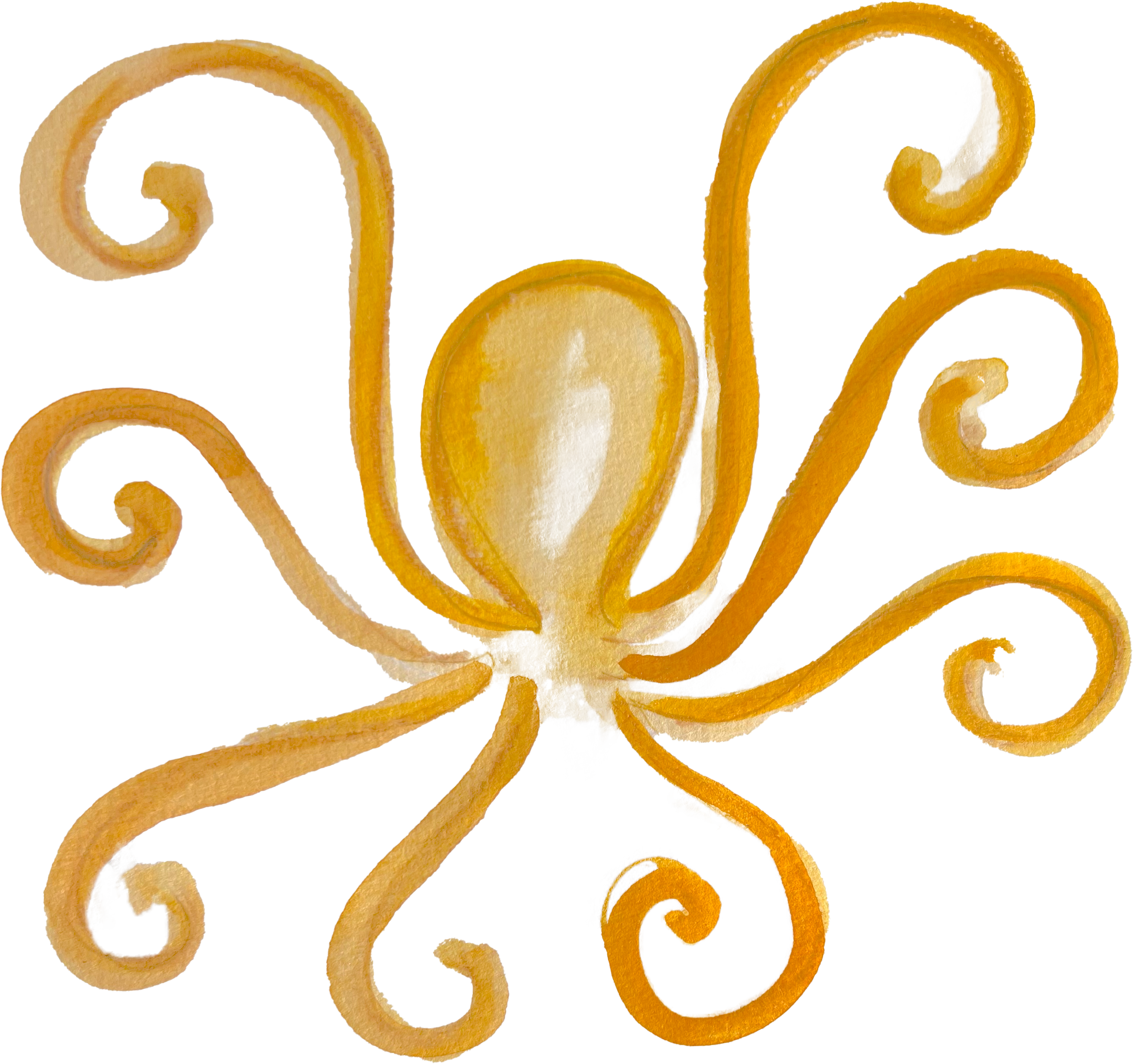 Octopus 1 .png