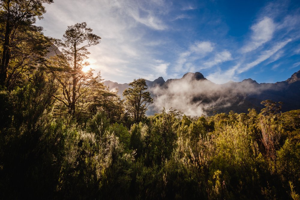 Pure New Zealand