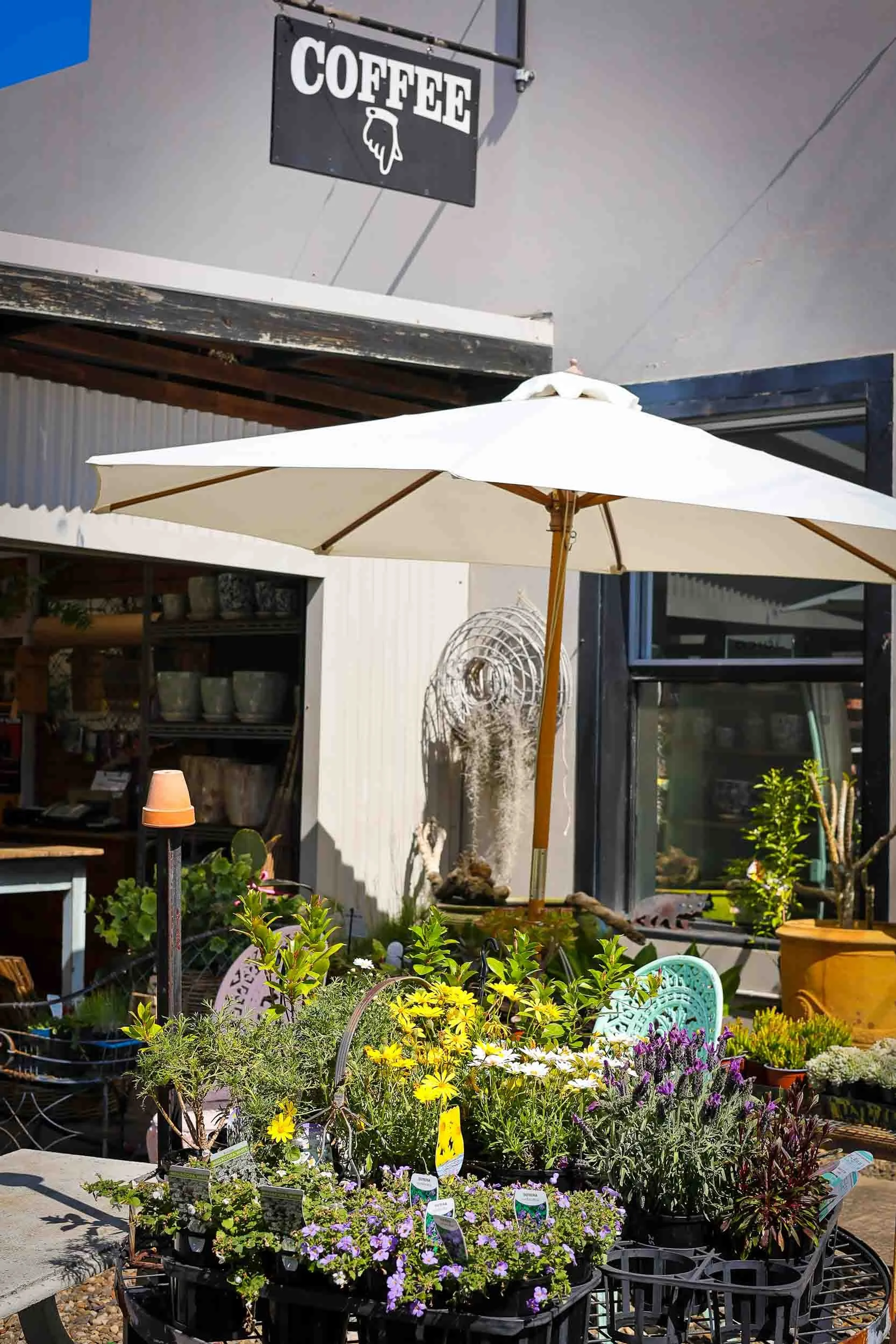 pdi-thirroul-pop-up-markets-2025-44.jpg