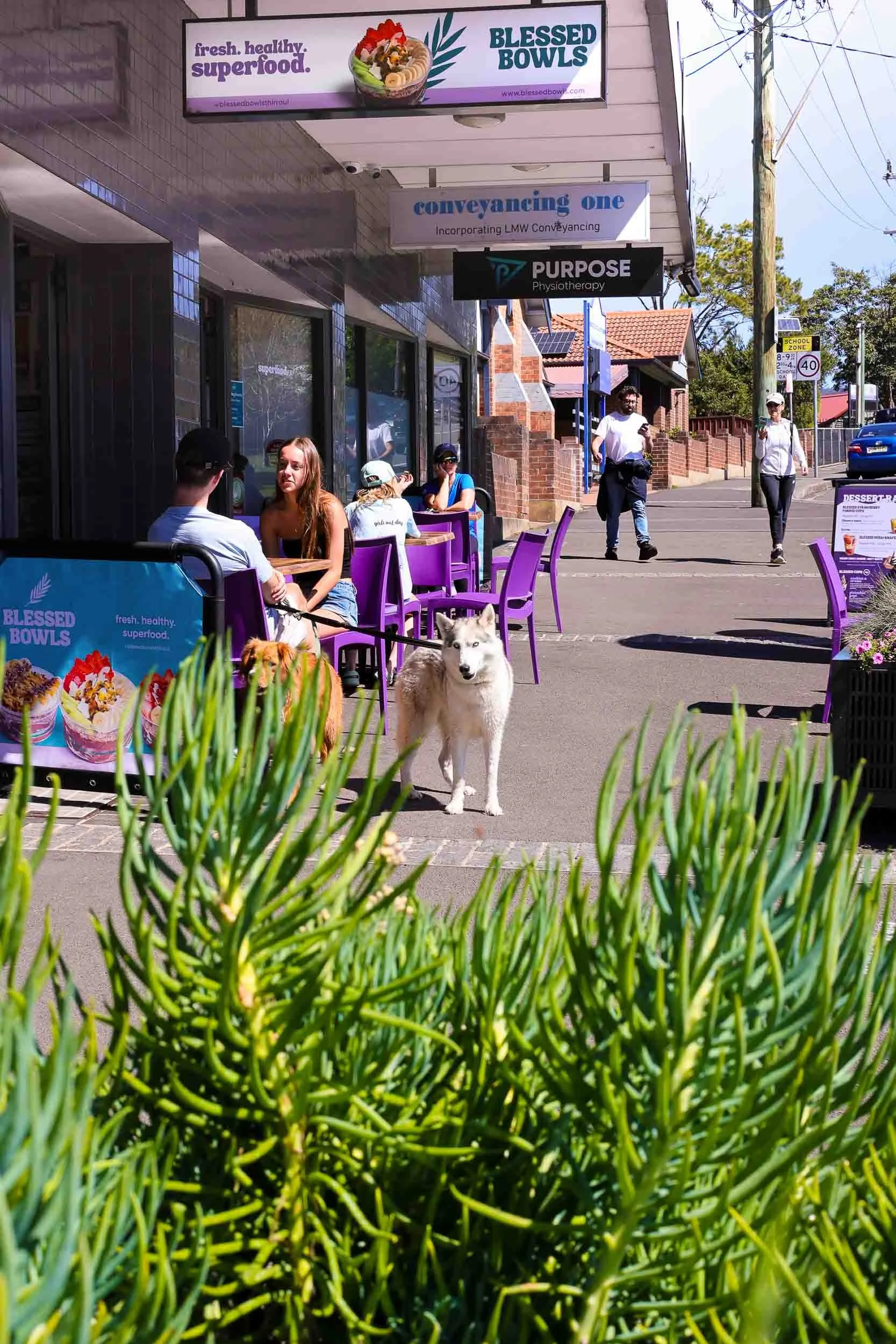 pdi-thirroul-pop-up-markets-2025-47.jpg