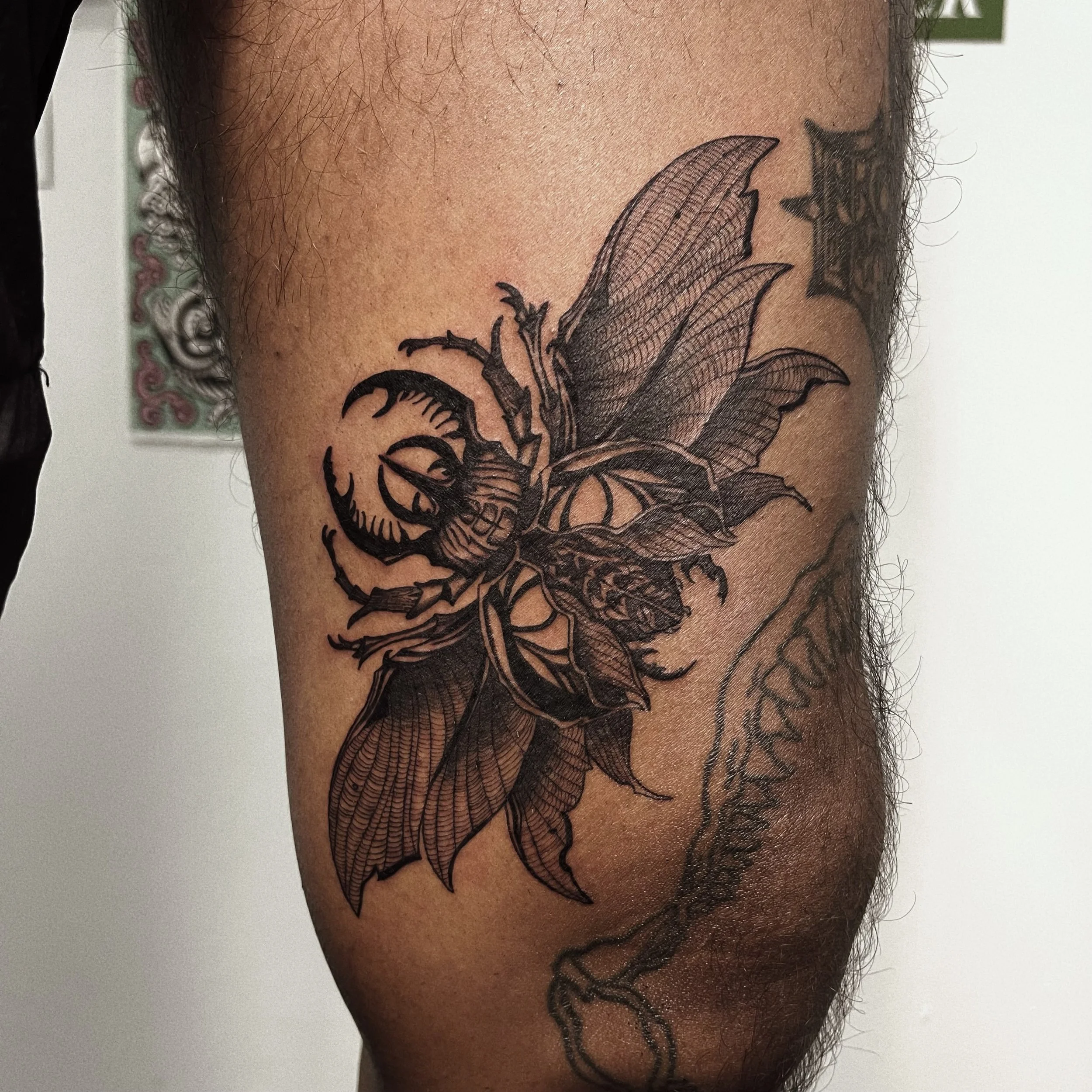 Beetle tattoo black work ornamental