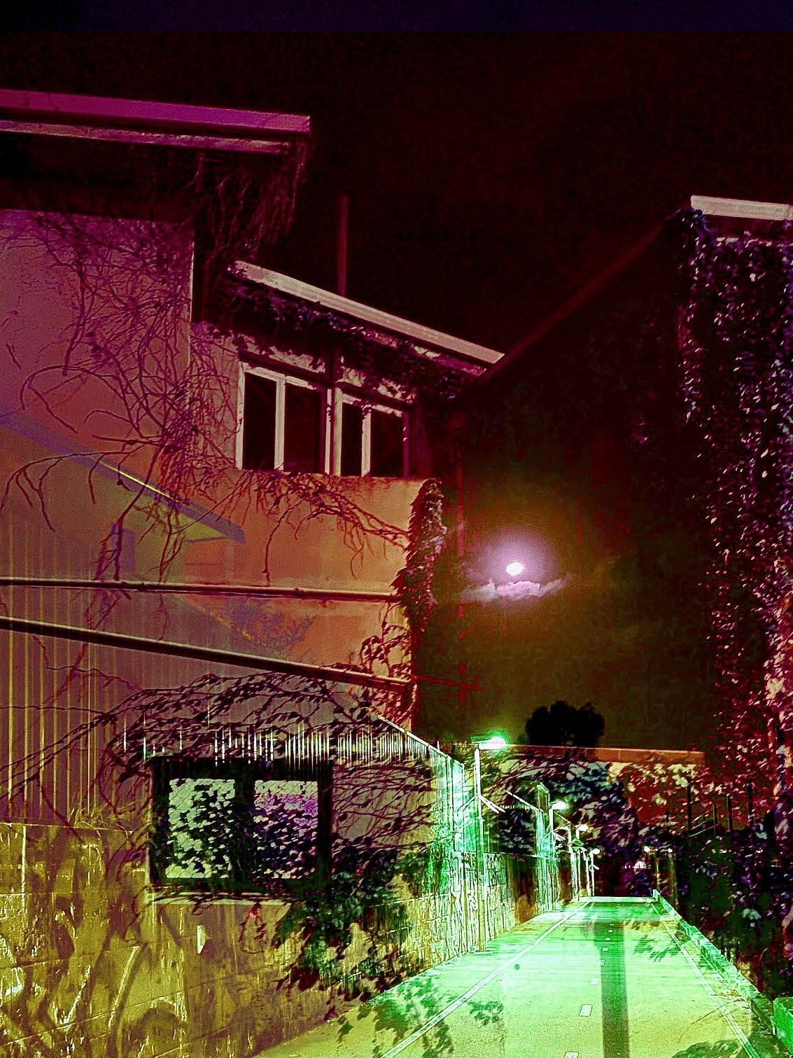 streetwalk-zoomed.jpg