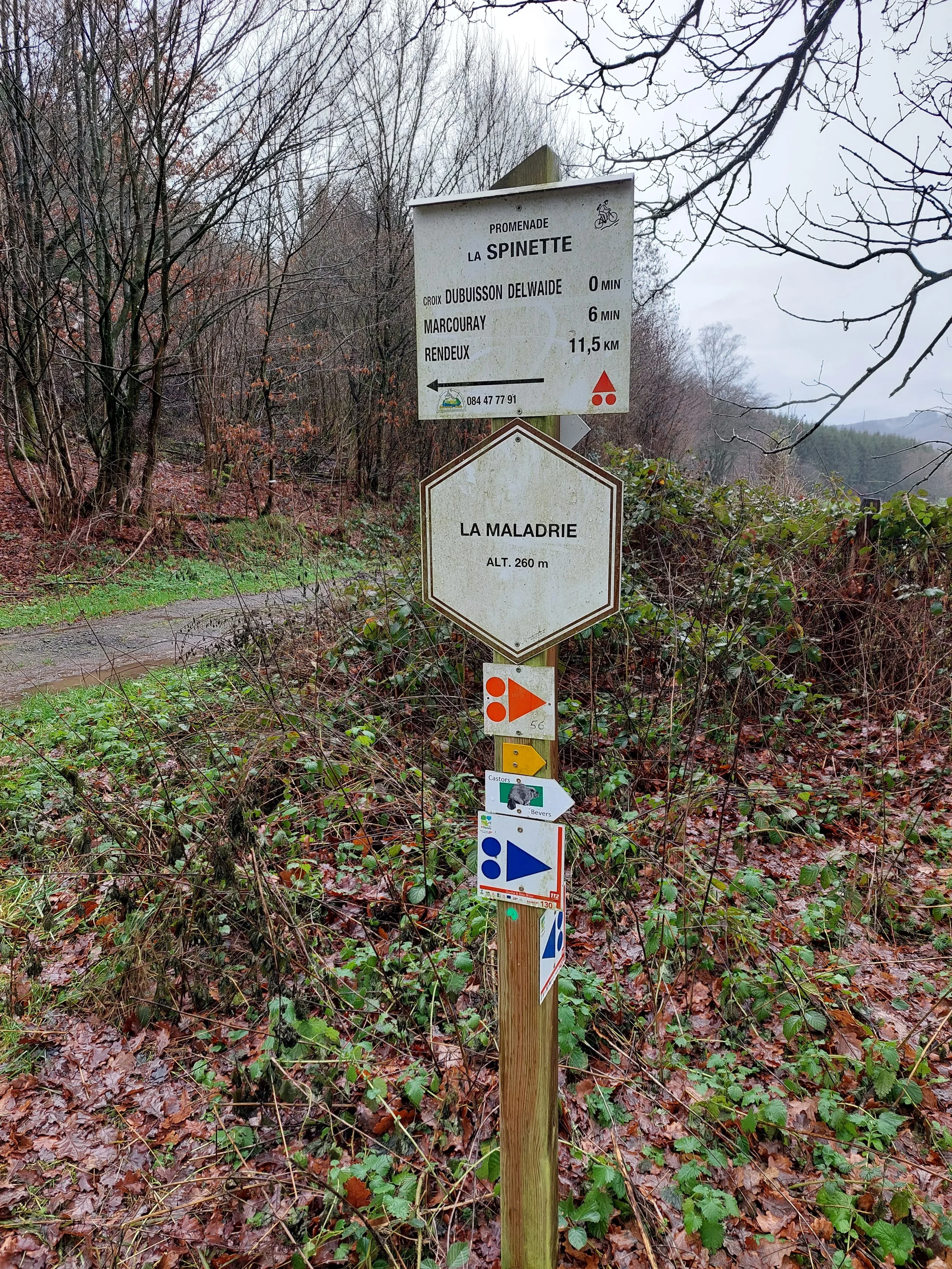 20230102_133649 (1).jpg