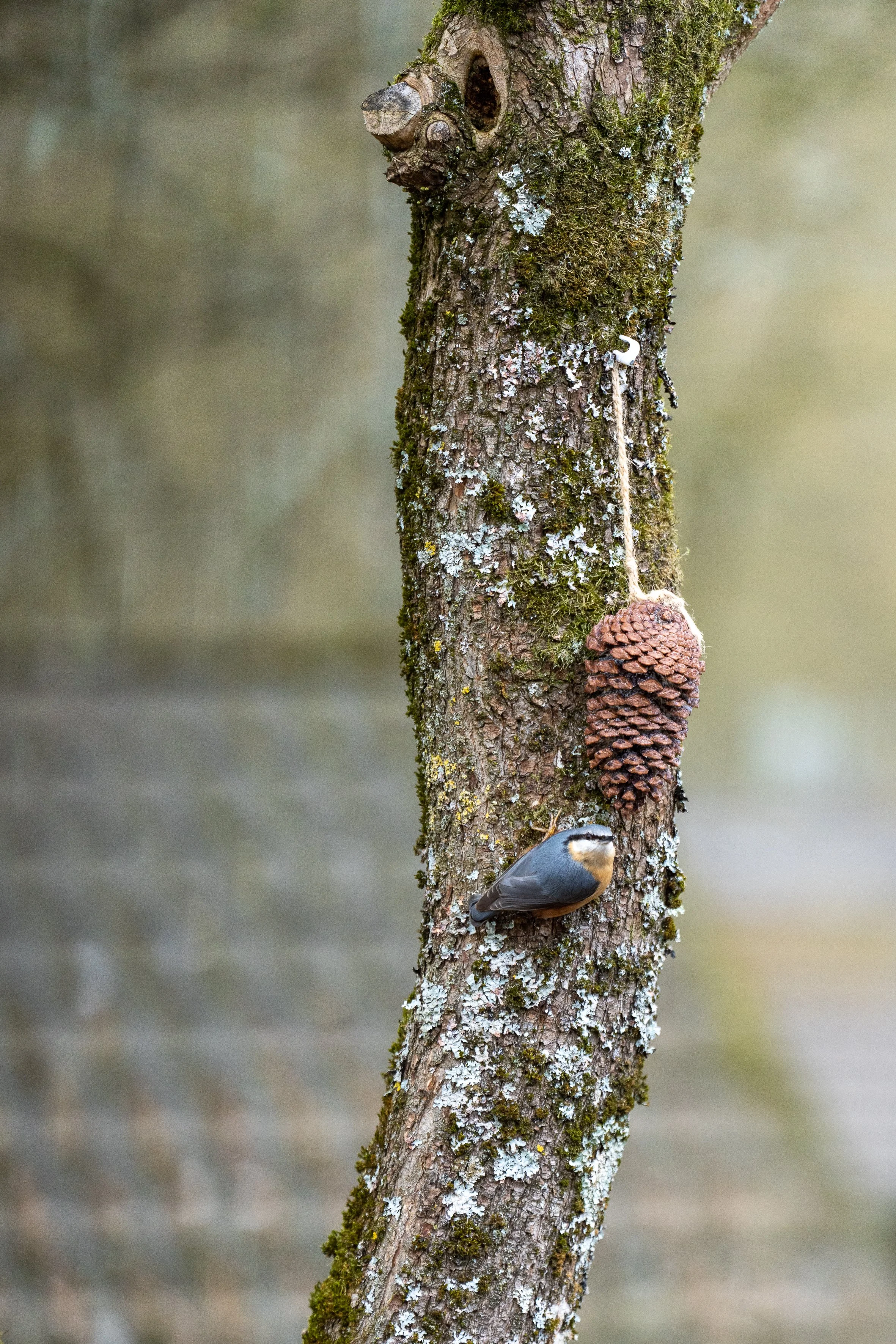 2023-03-18 La Boverie (2 of 30).jpg