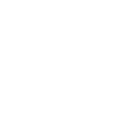 ifm-1.png