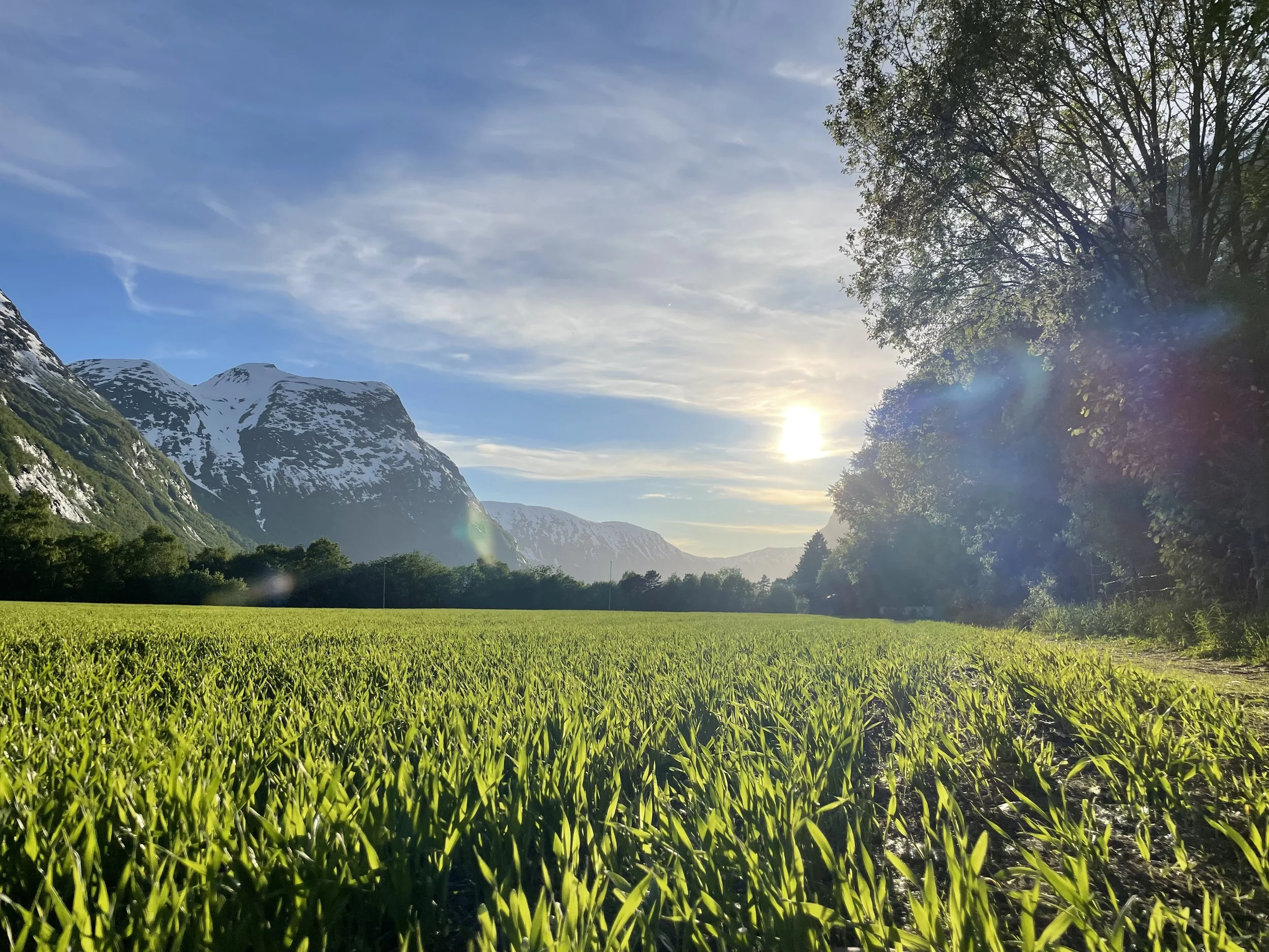 leikvin åker (2).jpg