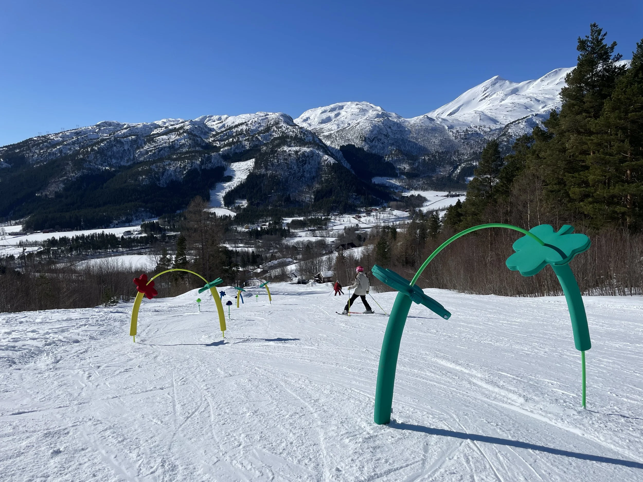 Børsetlia alpinsenter (1).jpg