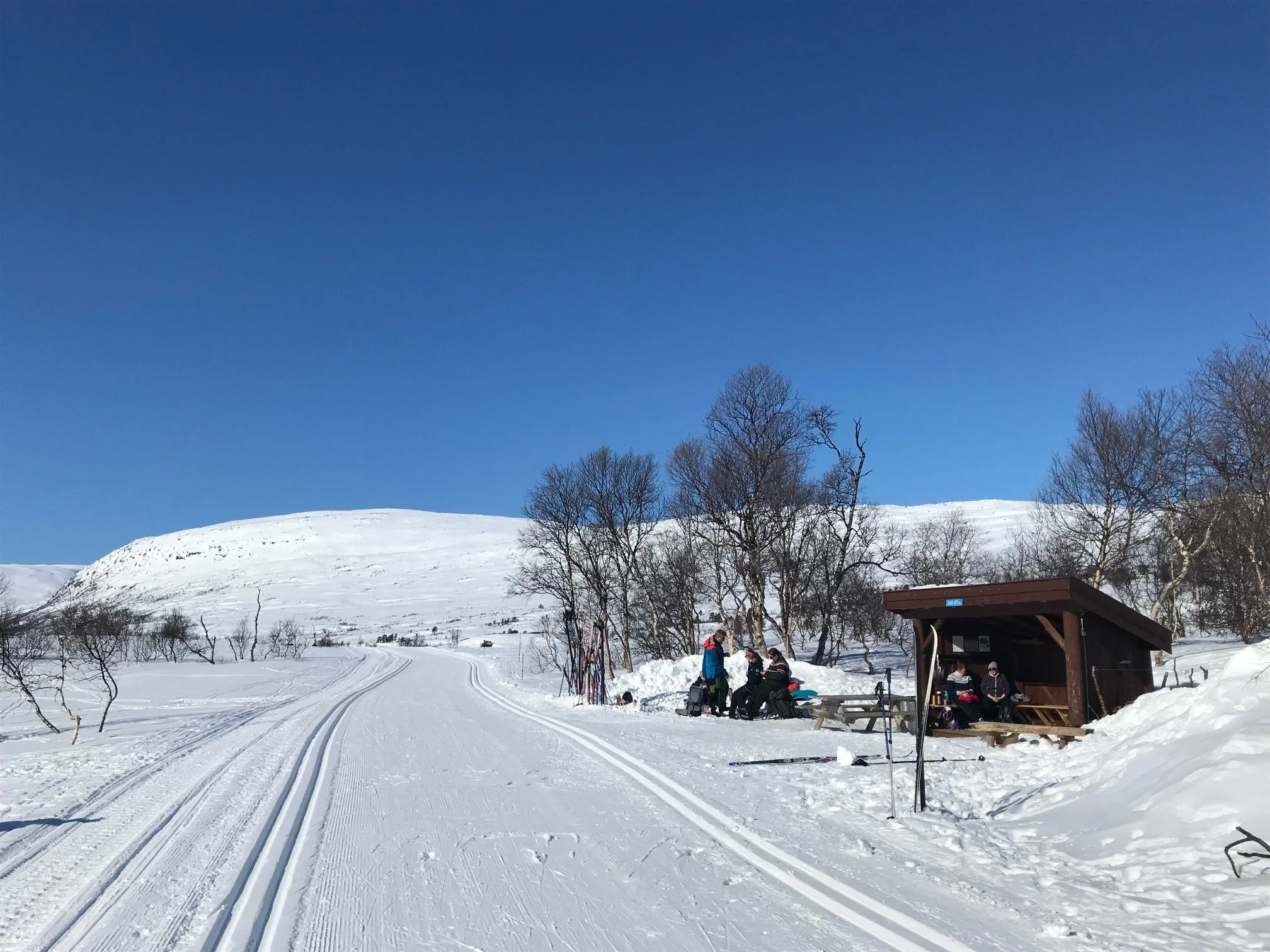 Stikk ut stortæla (6).jpg