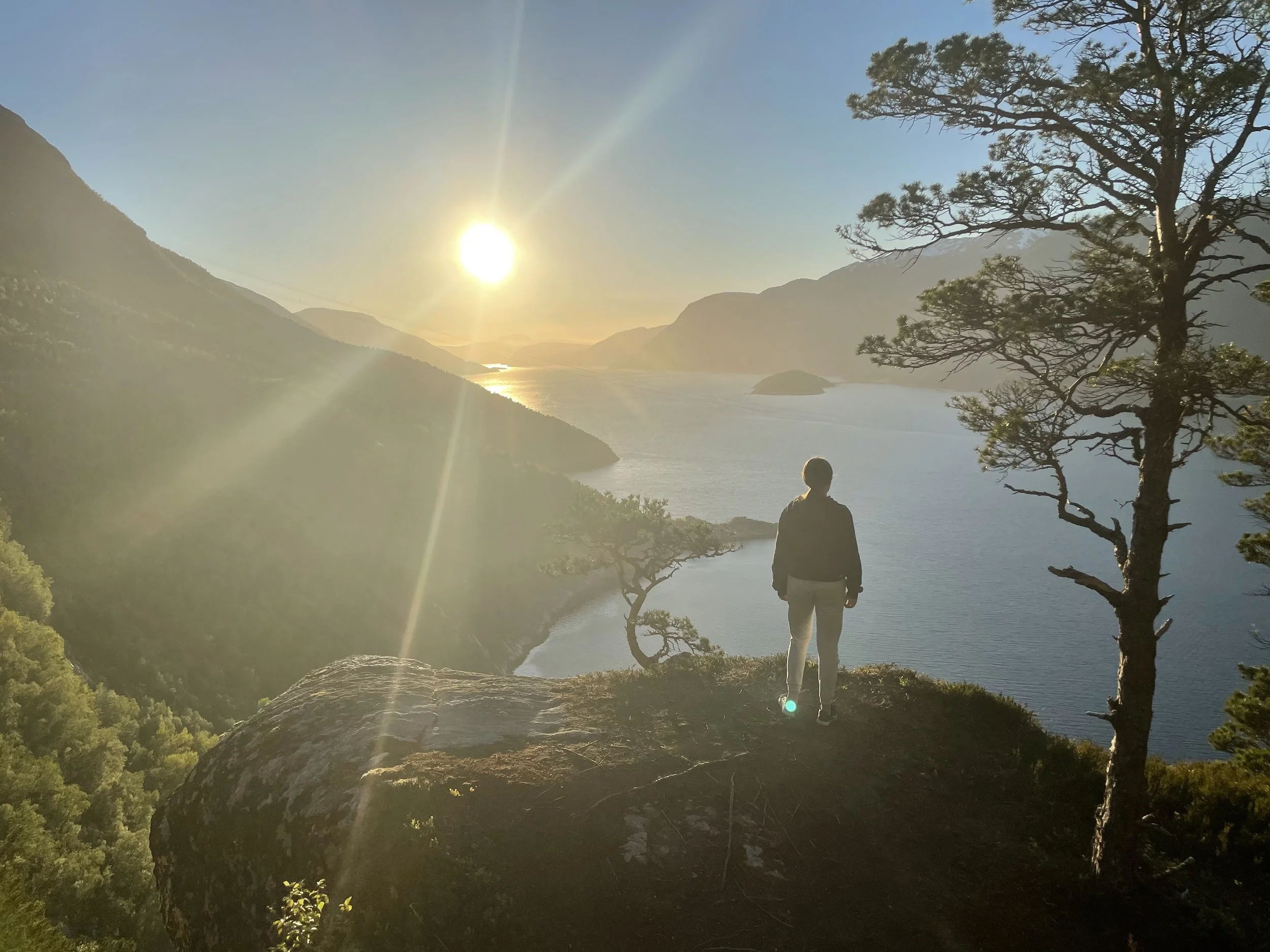 Furu i Vika Sunndalsfjorden (4).jpg