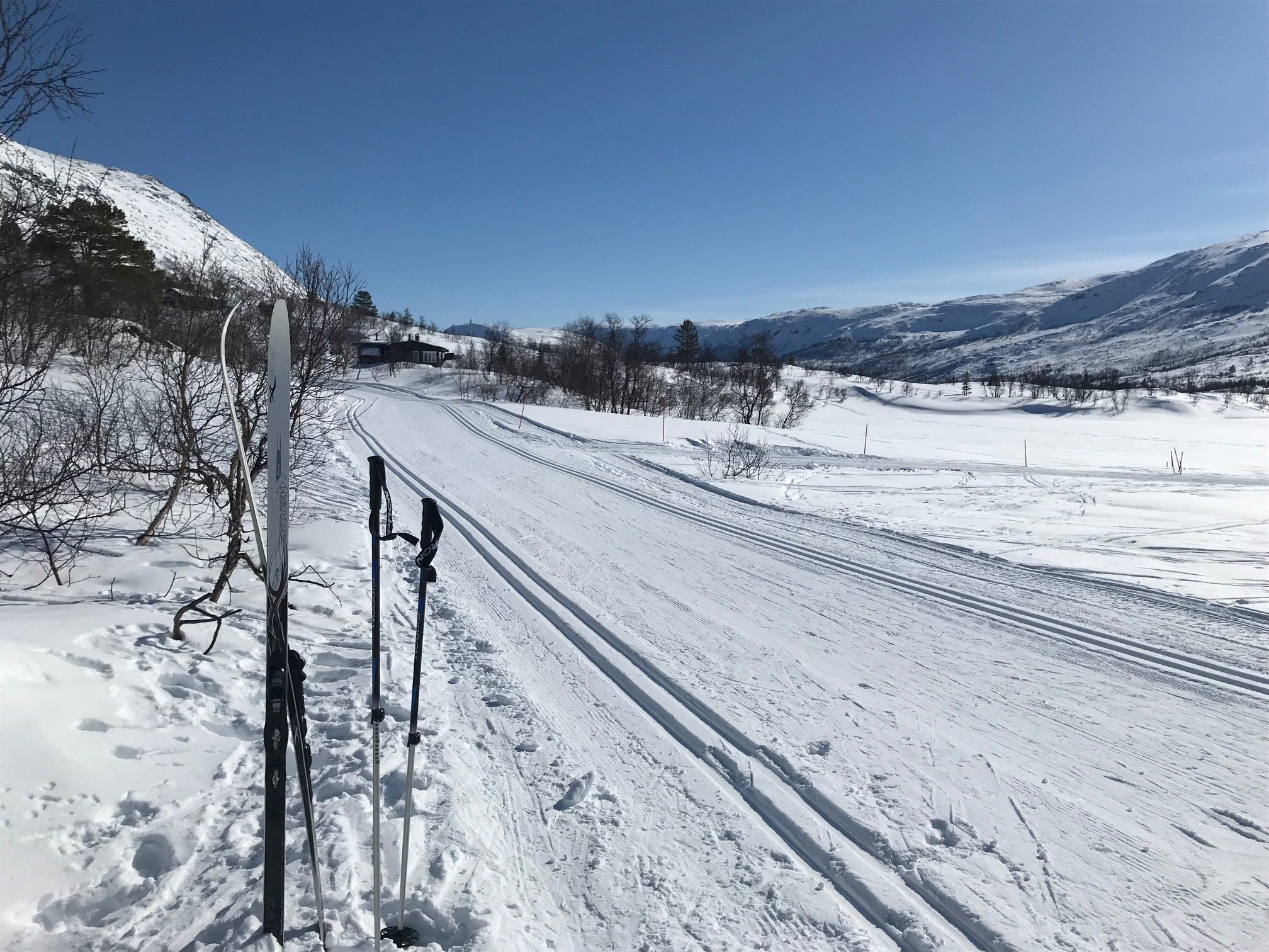 Stikk ut stortæla (4).jpg