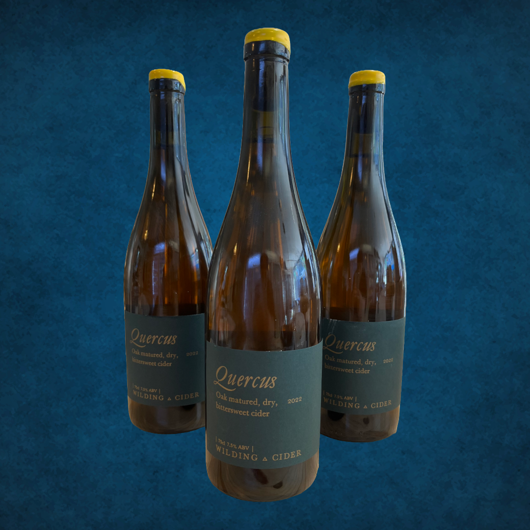 Wilding Quercus Cider