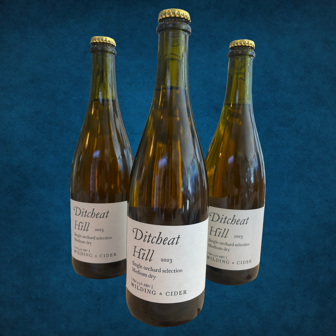 Wilding Ditcheat Hill Cider
