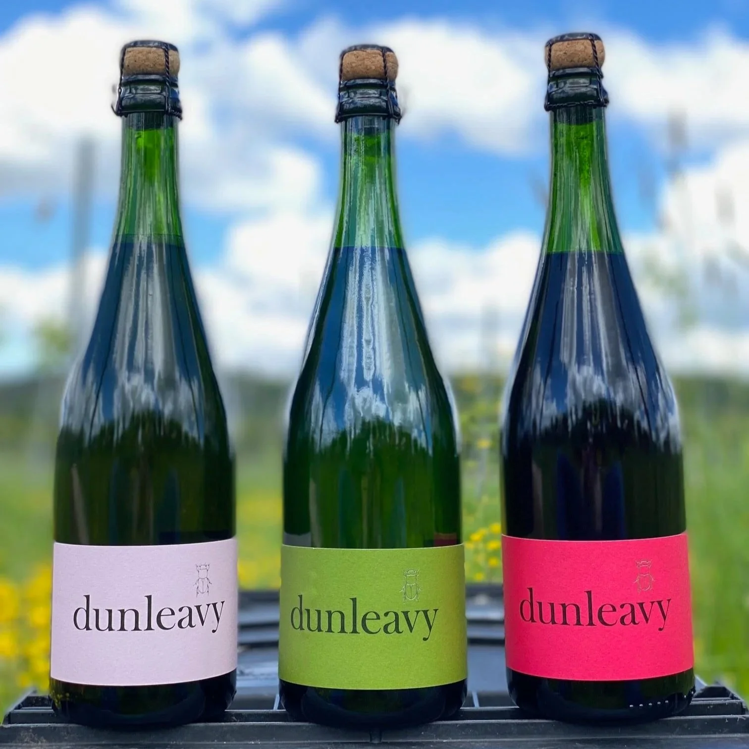 An Evening of Cheese and Wine Pairing with Dunleavy