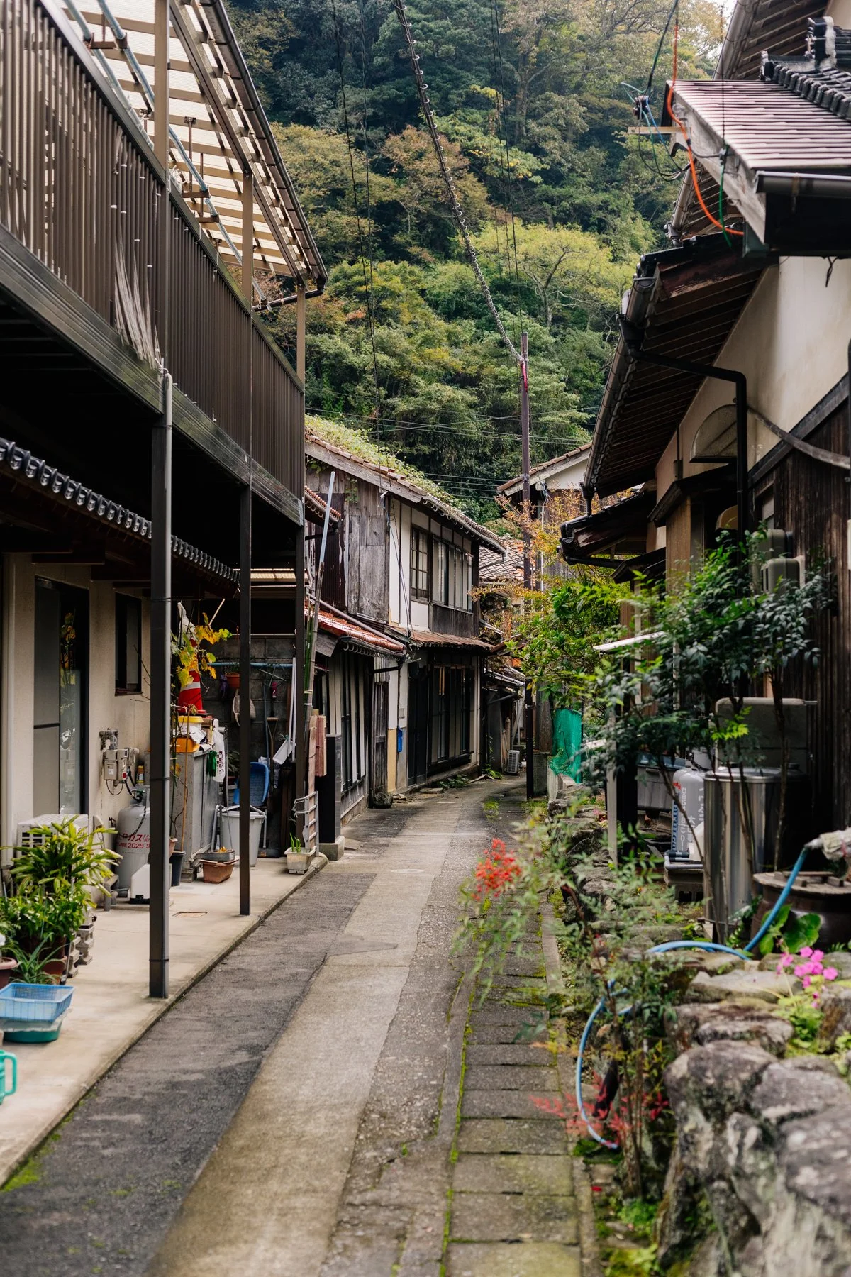 Mura no Kokoro - Maan Limburg 6.jpg