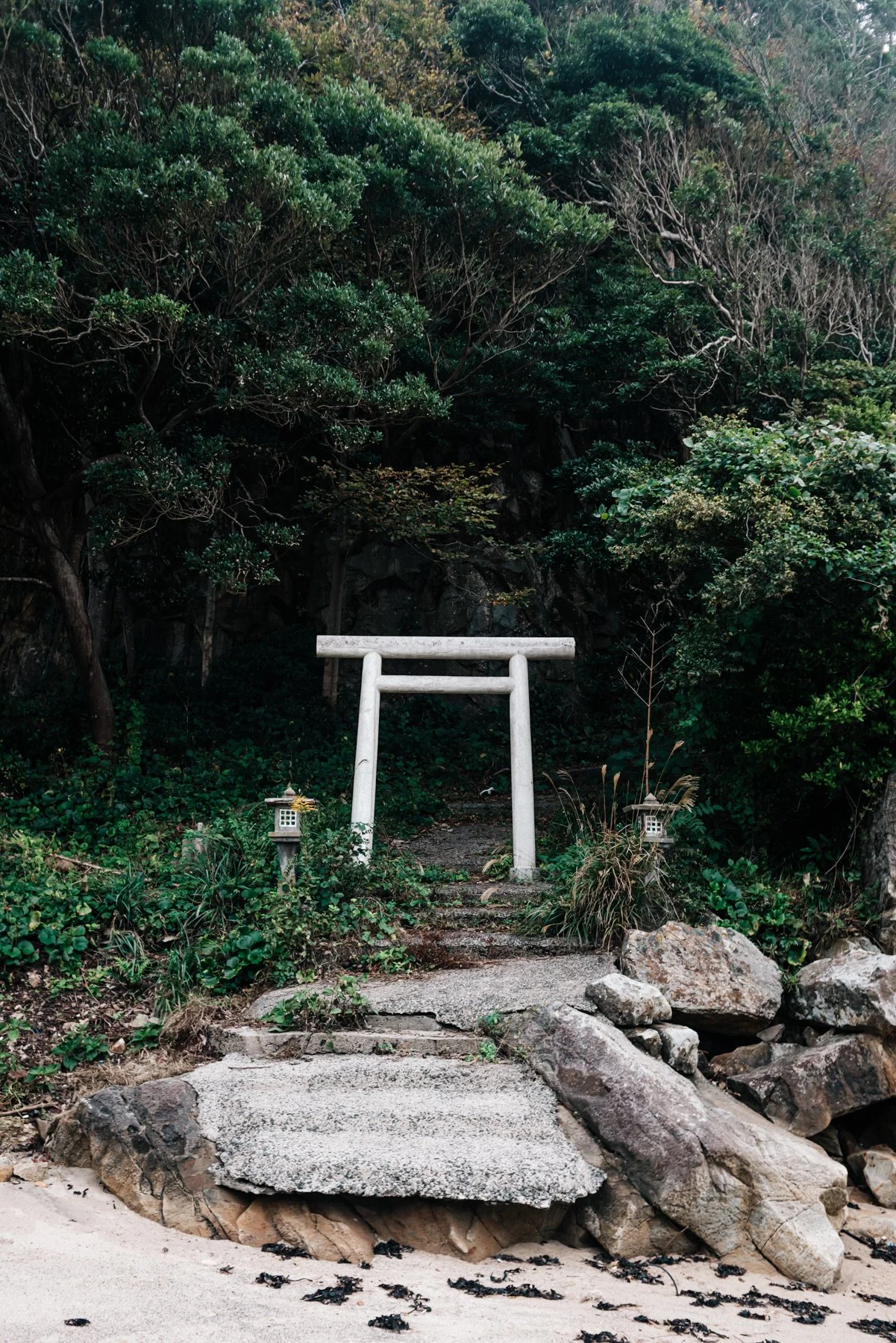 Mura no Kokoro - Maan Limburg 2.jpg