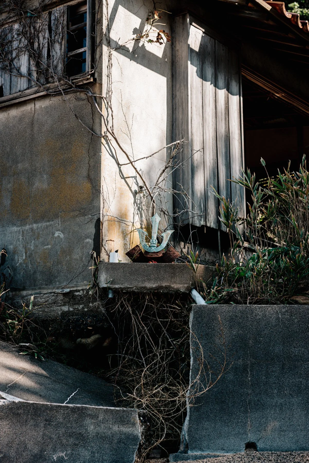 Mura no Kokoro - Maan Limburg 3.jpg