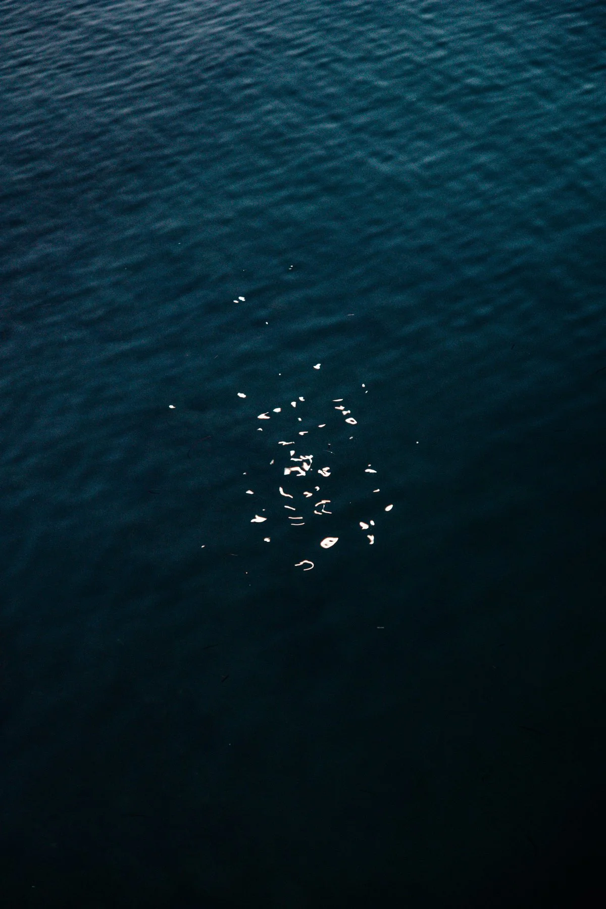 Mura no Kokoro - Maan Limburg 5.jpg