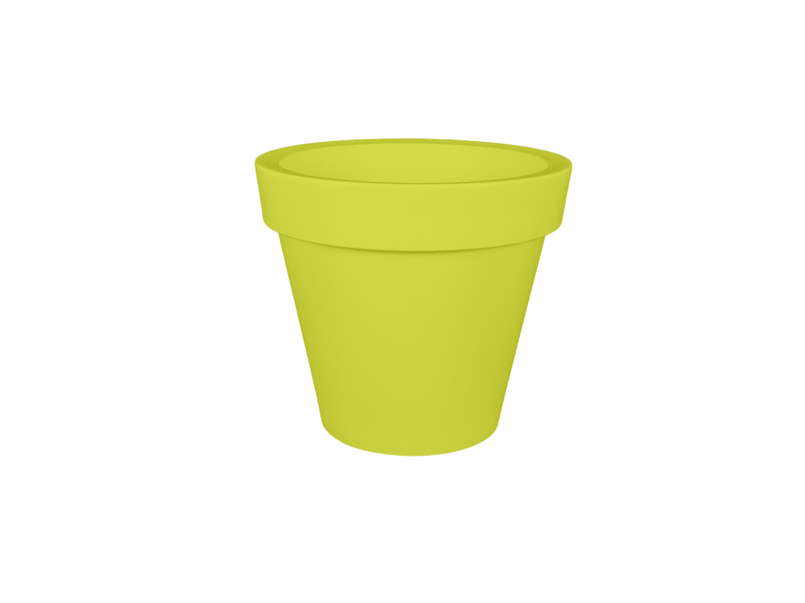 romanokiwi_0.png