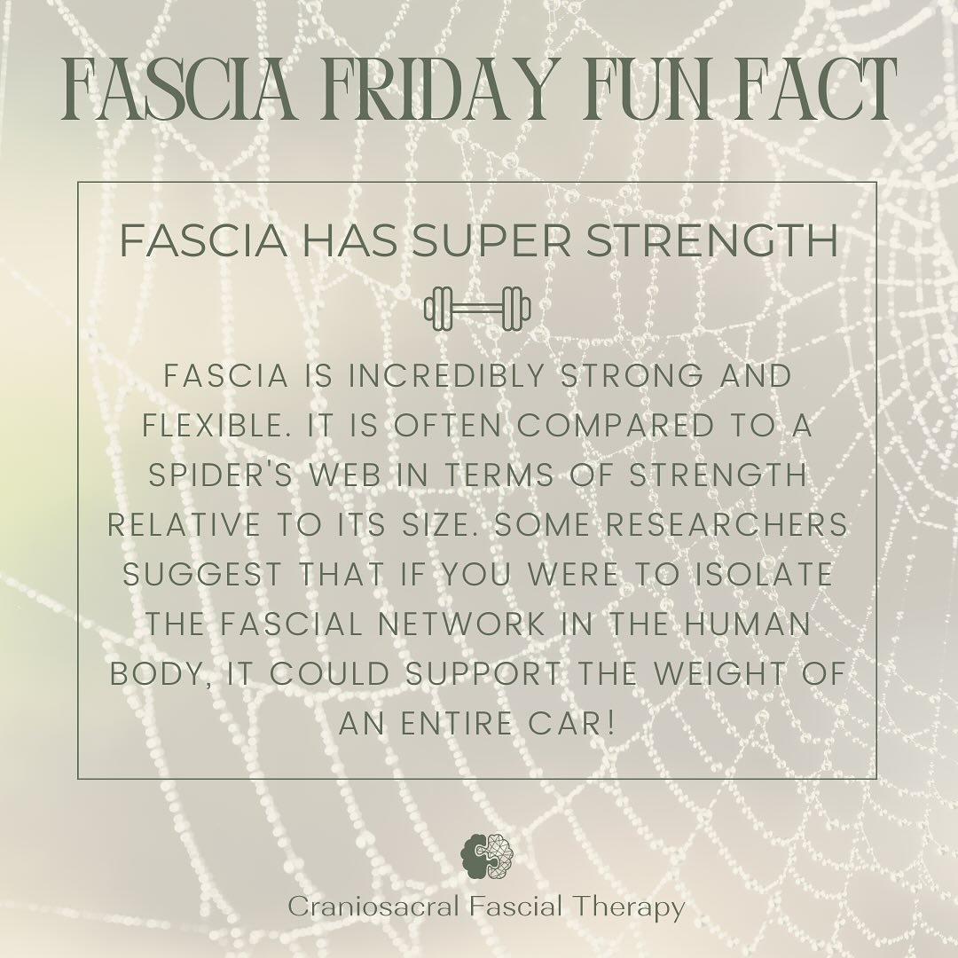 🕸️ Fascia Friday Fun Fact! 🕸️