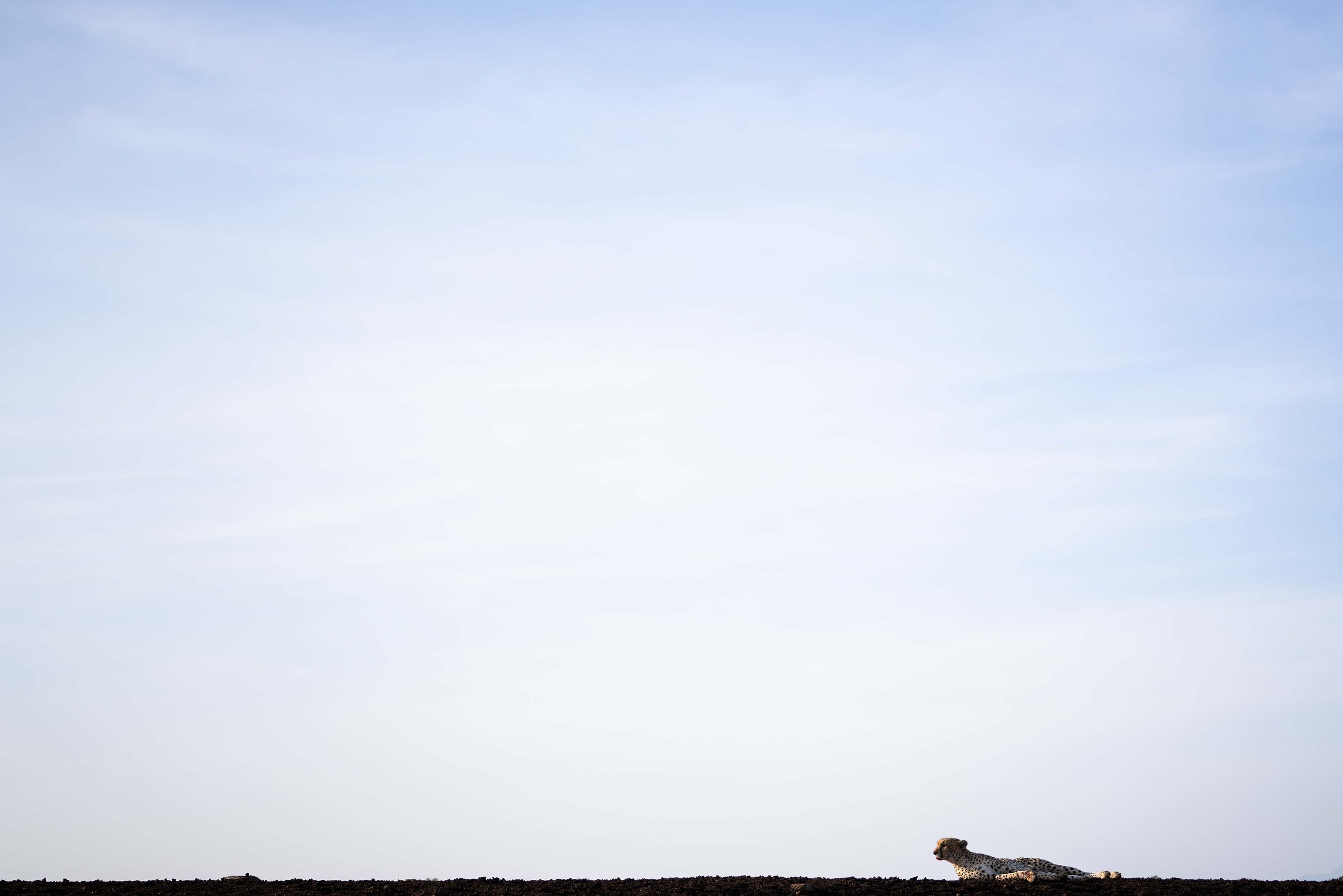 _DSC6688.jpg