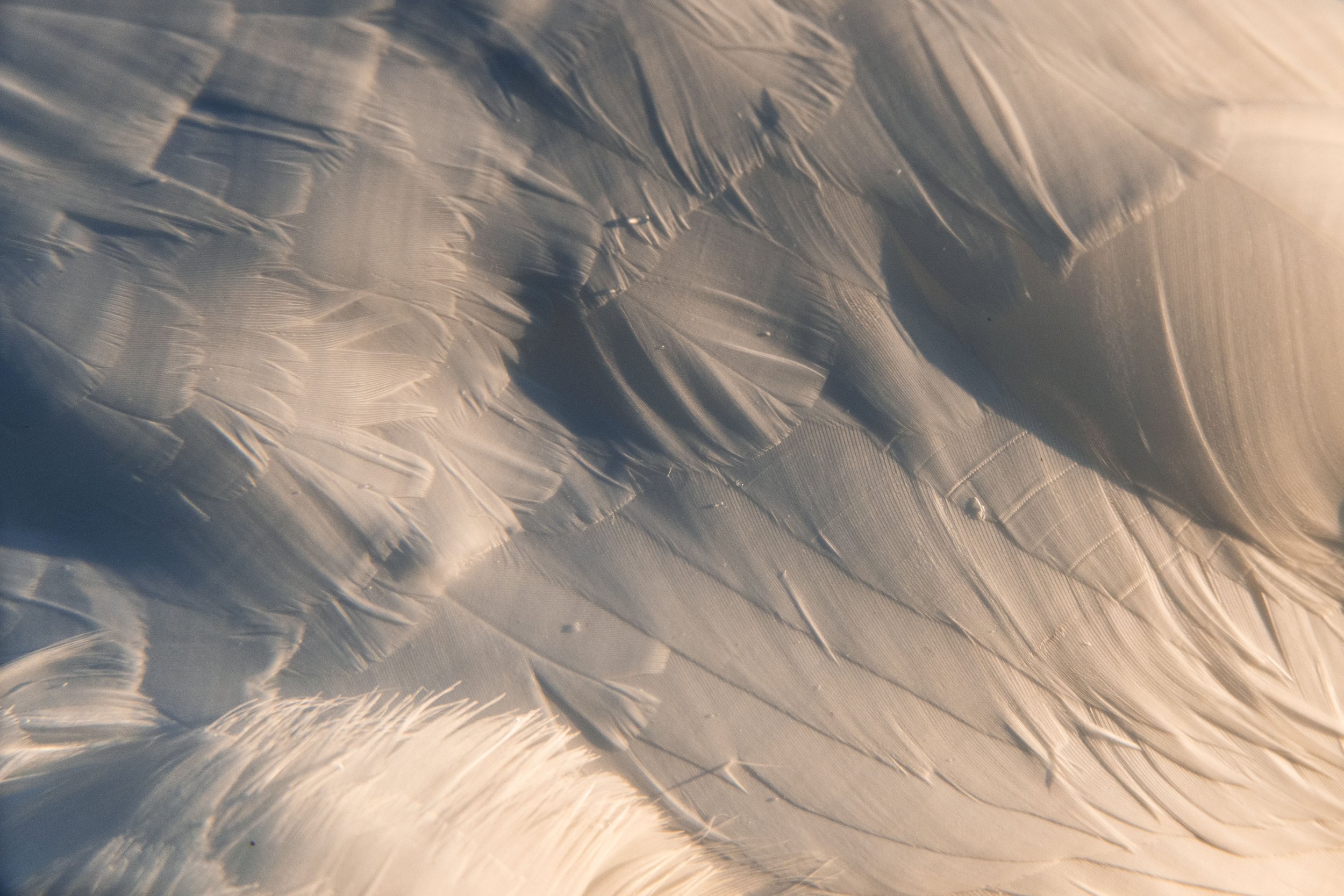 _DSC4594_web.jpg