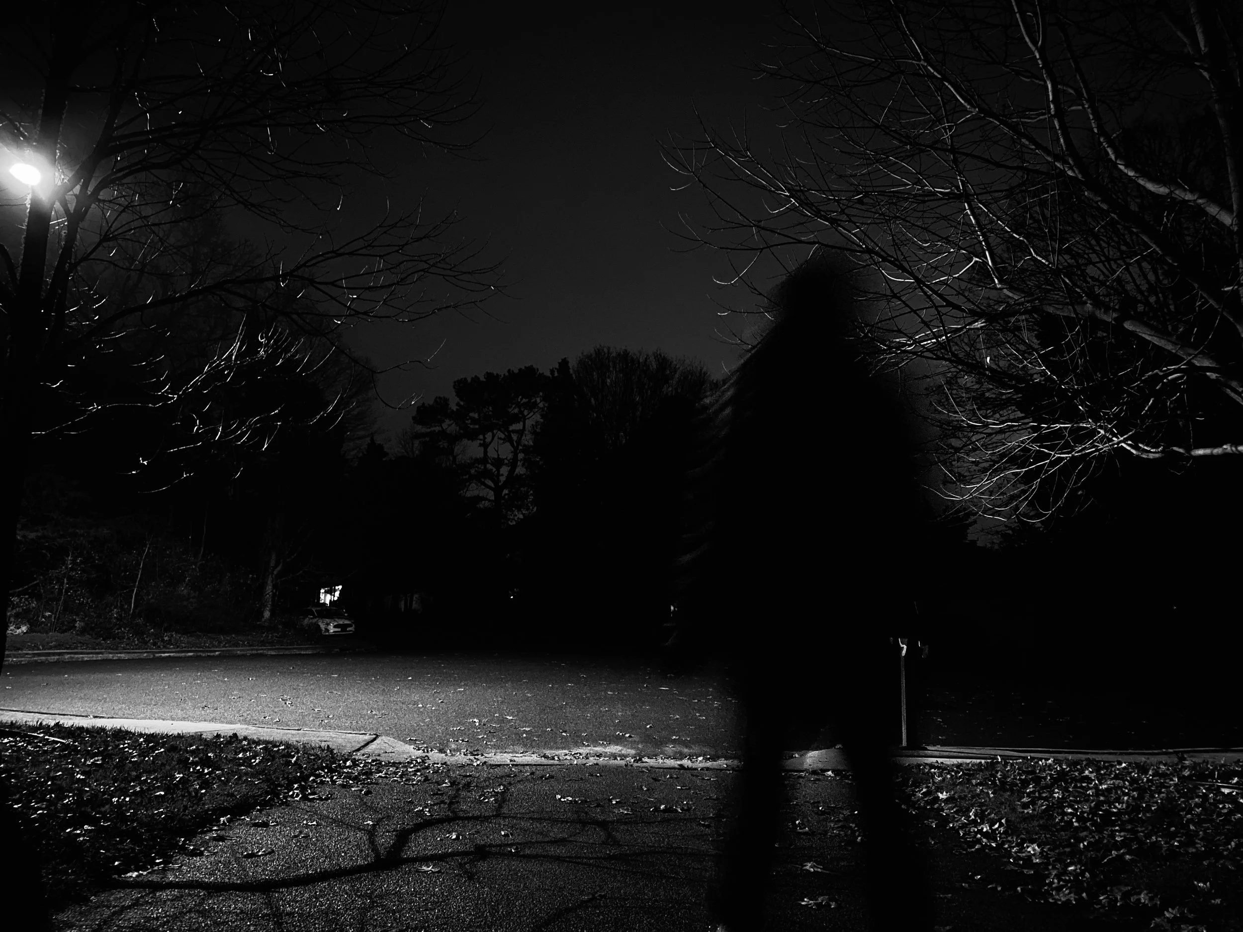 1CDE8086-09D7-45BD-A8F3-A5466EA00226_1_201_a.jpeg