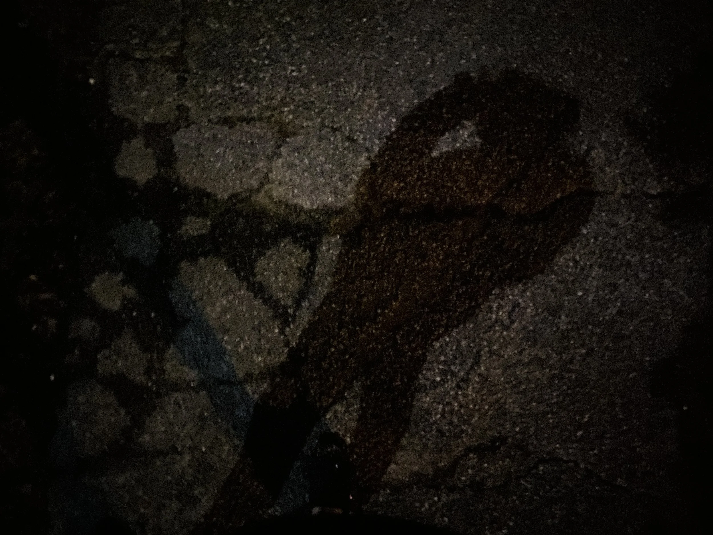 661D1517-4EC5-4467-B3FB-404508AE6AF8_1_201_a.jpeg