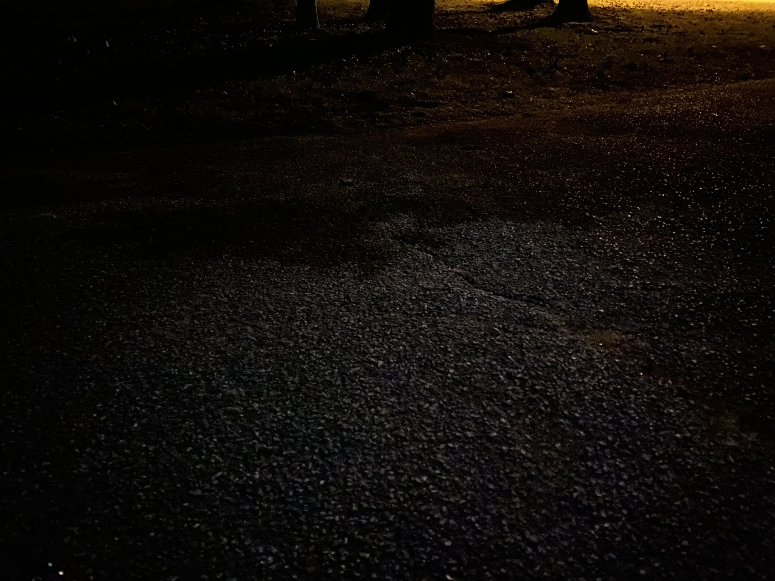 891E4D39-2E75-4F96-B3DF-3502B2518E0A_1_201_a.jpeg