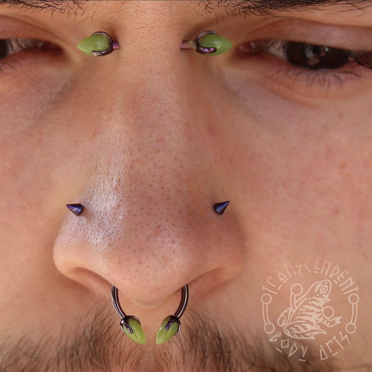 Painless nose piercing  Nose piercing, Piercing, Piercing studio