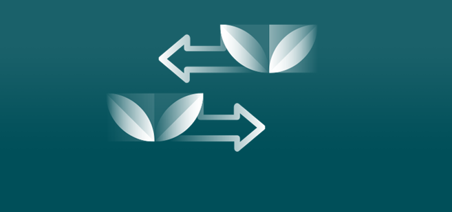 Graphic showing two pairs of leaves with arrows indicating the exchange between them.