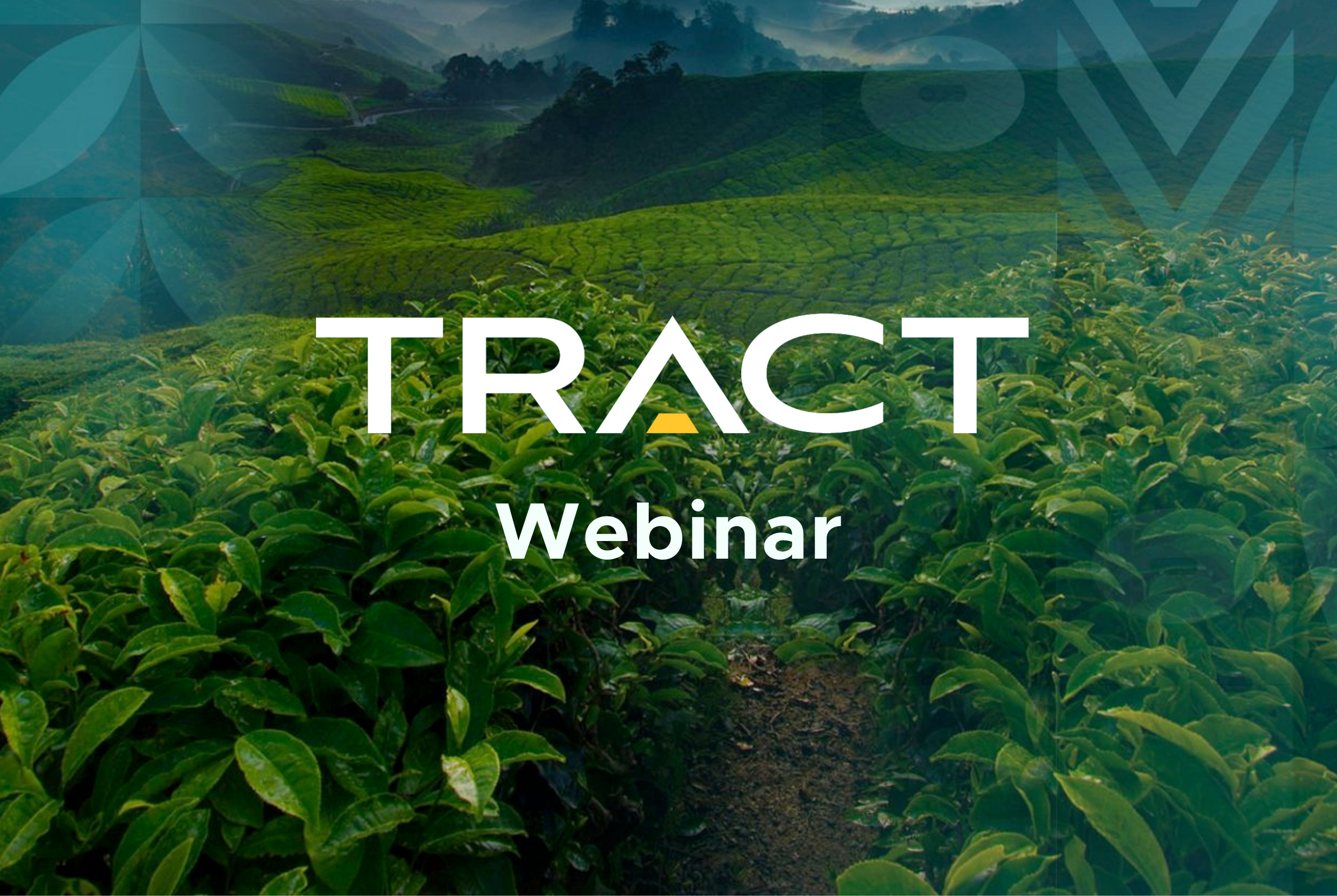 From Risk to Action: Translating Supply Chain Risk Data into Impact - Webinar Recap