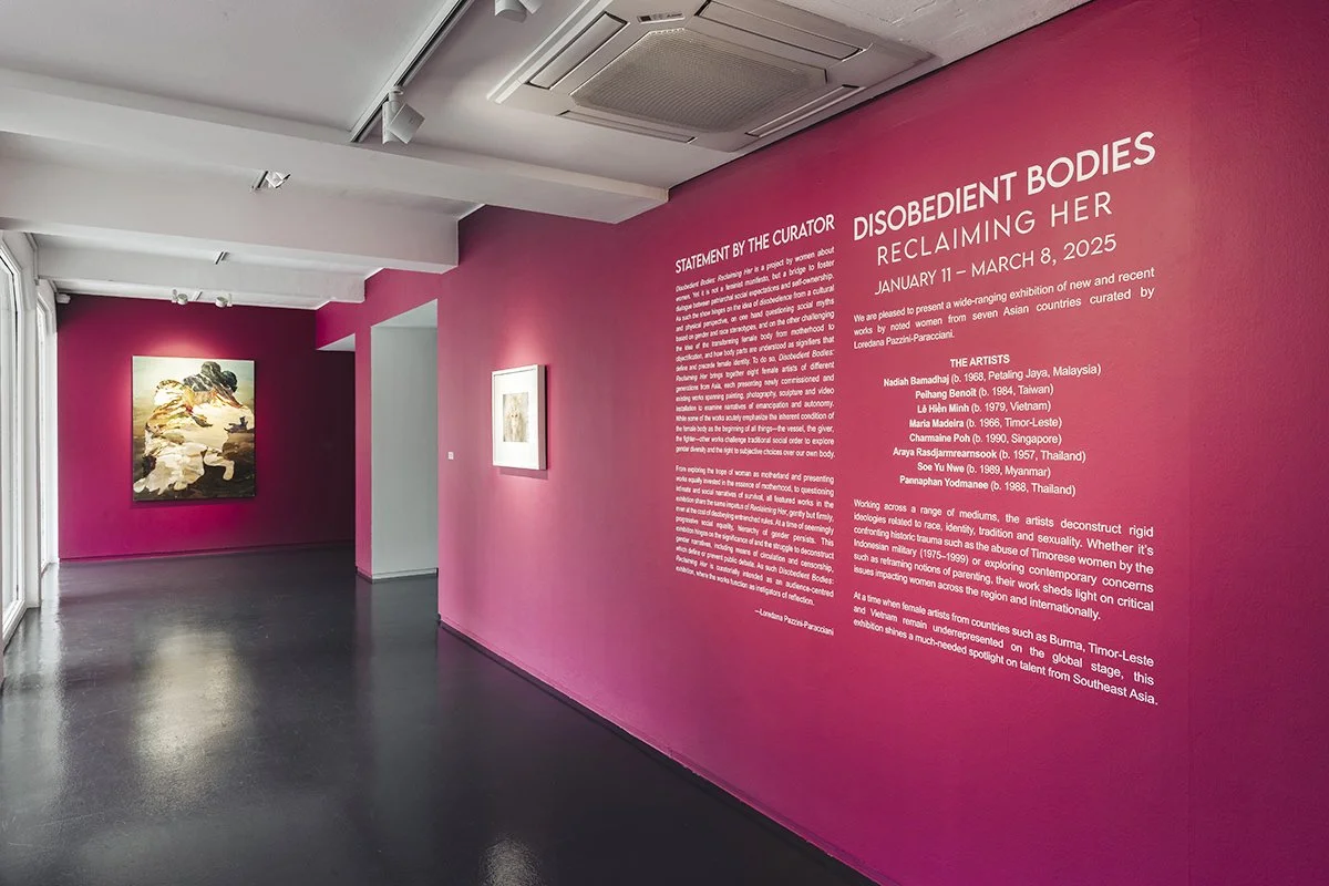 Disobedient Bodies Reclaiming Her Install_3e.jpg