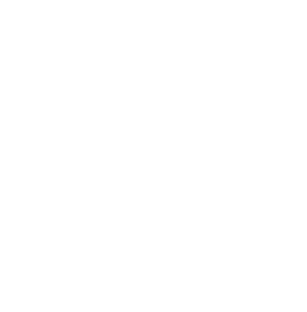 Rocky Top Dog Training