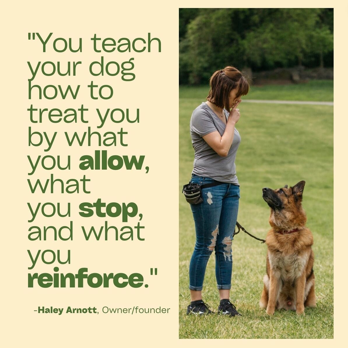 We&rsquo;re ALL guilty of allowing poor behavior from our dogs. I&rsquo;m curious to know, what kinds of poor behaviors have you been allowing? Write in the comments below. Judgement free zone! 
.
..
&hellip;
&hellip;.
#rockytop #nashvilledogtrainer 