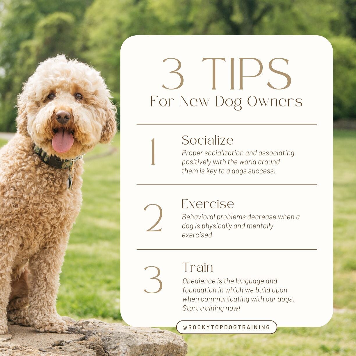 Happy Friday y&rsquo;all! Just some tips for those that just welcomed a new dog or puppy into their family. Socialization, exercise and training are key to success.
.
..
&hellip;
&hellip;.
#dogtrainingtips #dogtrainingadvice #dogtraining101 #puppies 