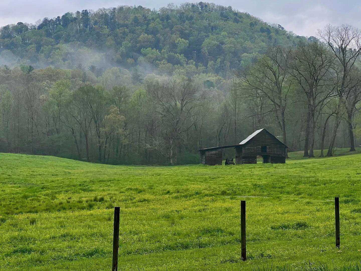 The backroads leading to Taliama are very picturesque, but I&rsquo;ve always loved this old barn especially. Sitting alone in the meadow it always highlights the weather system, light, color and shadow beautifully. 
.
On this Spring morning, the rain
