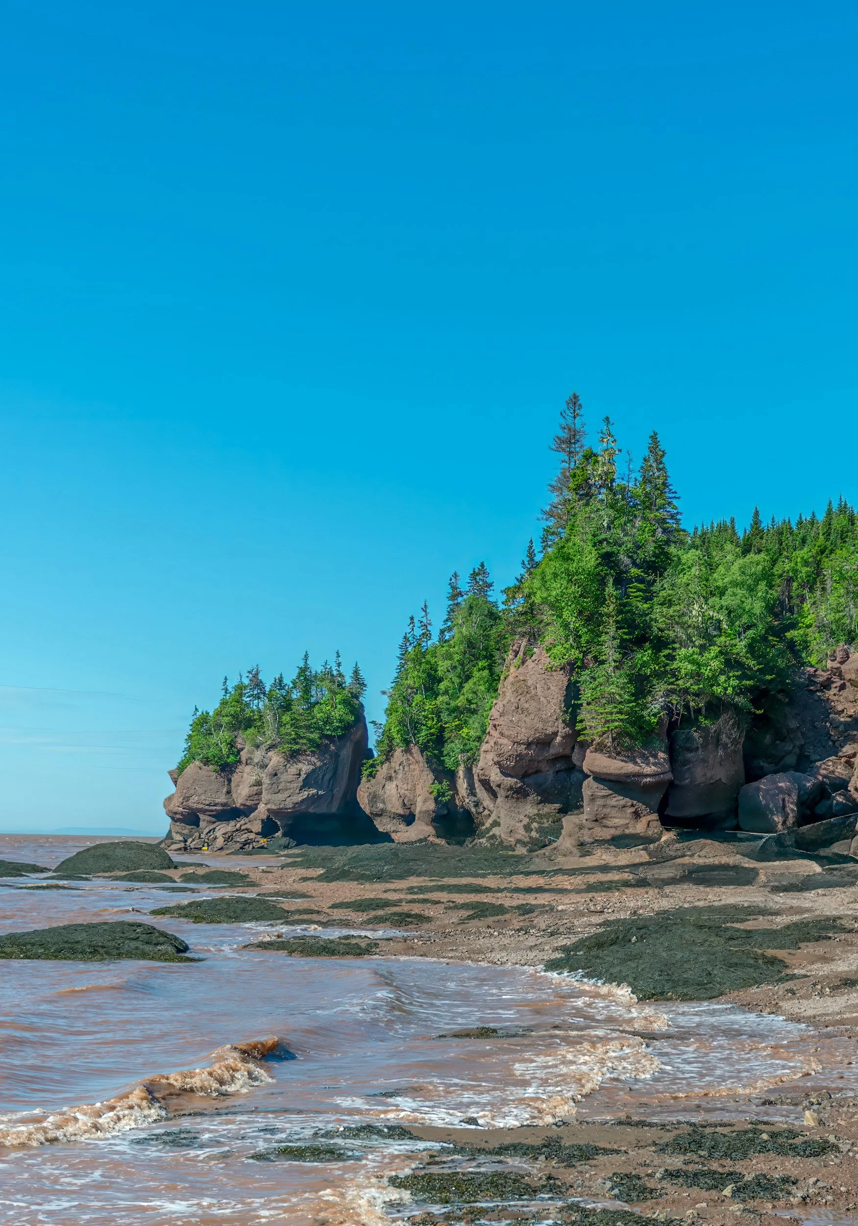 New Brunswick Day